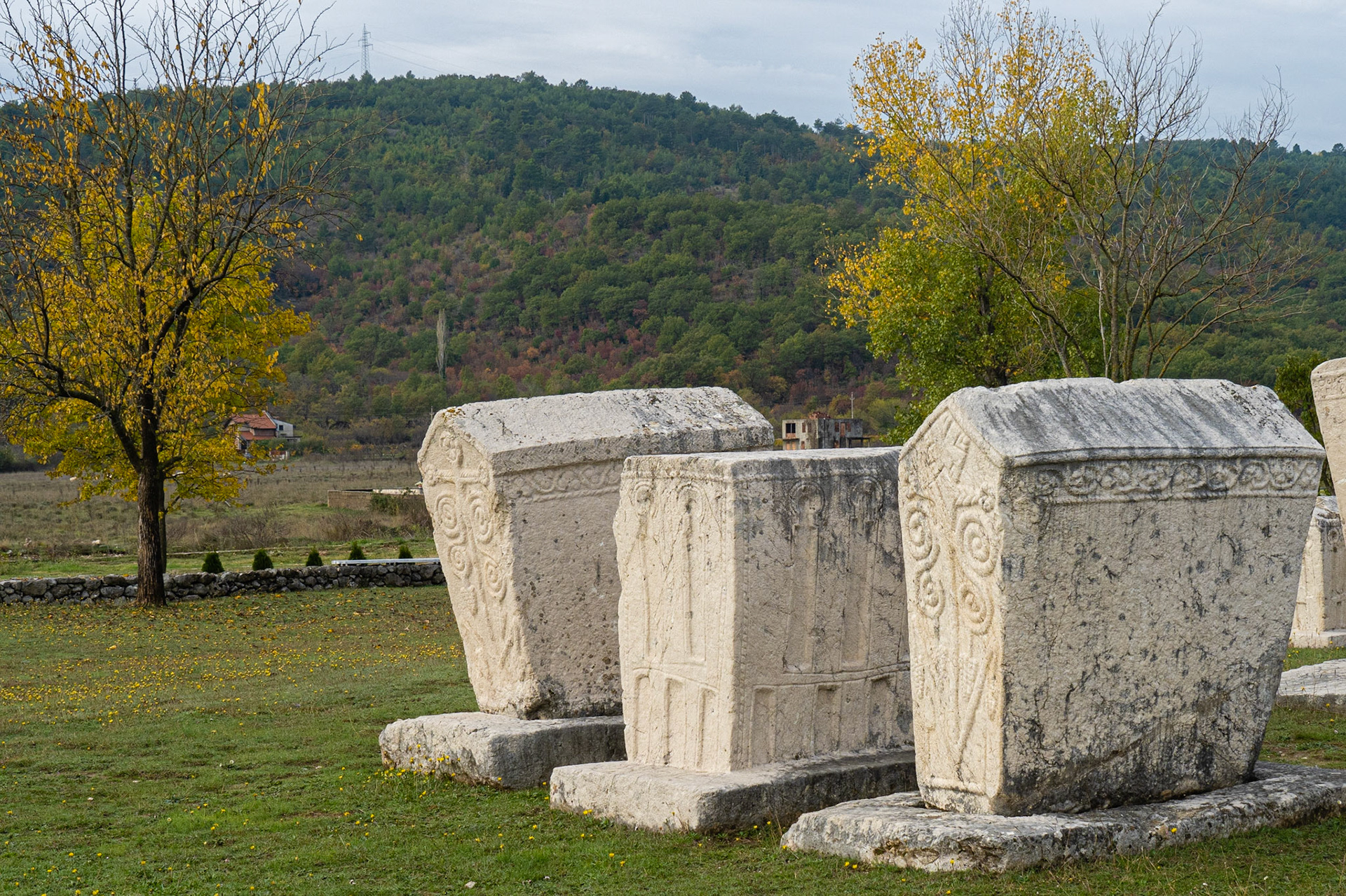 Stećci (medieval Bosnian tombstones), near Stolac