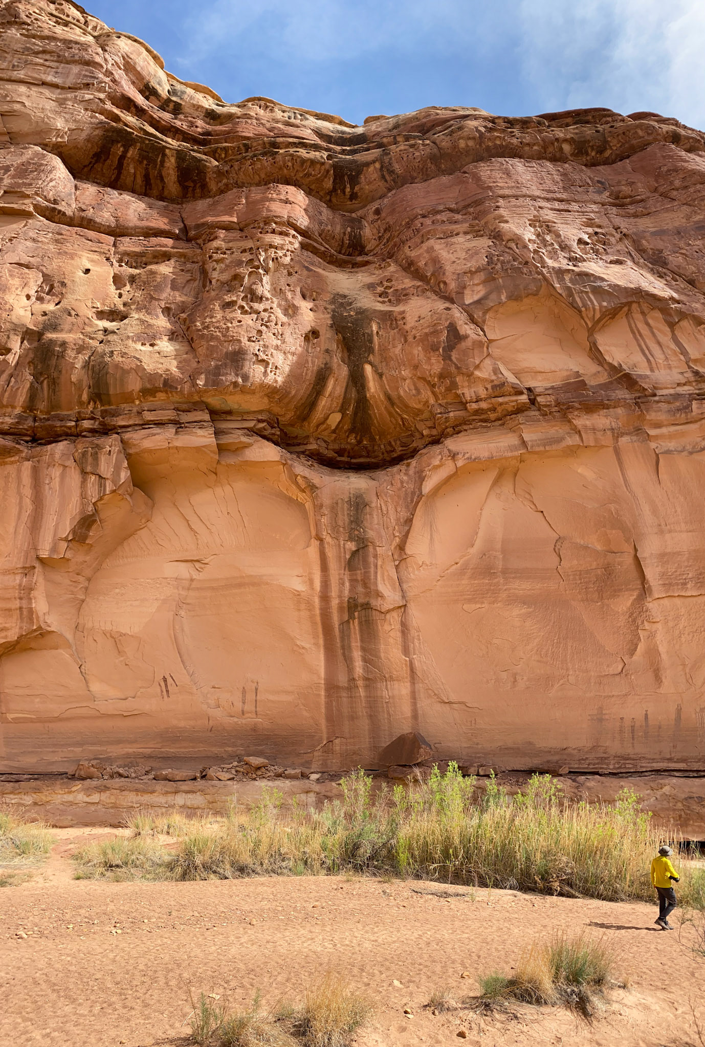 The setting of Harvest Scene pictographs