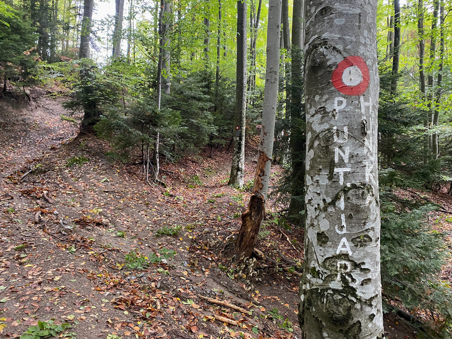 Hiking Sljeme mountain