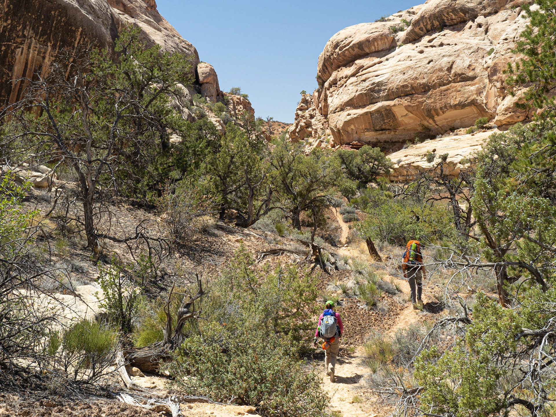 Trail hiking