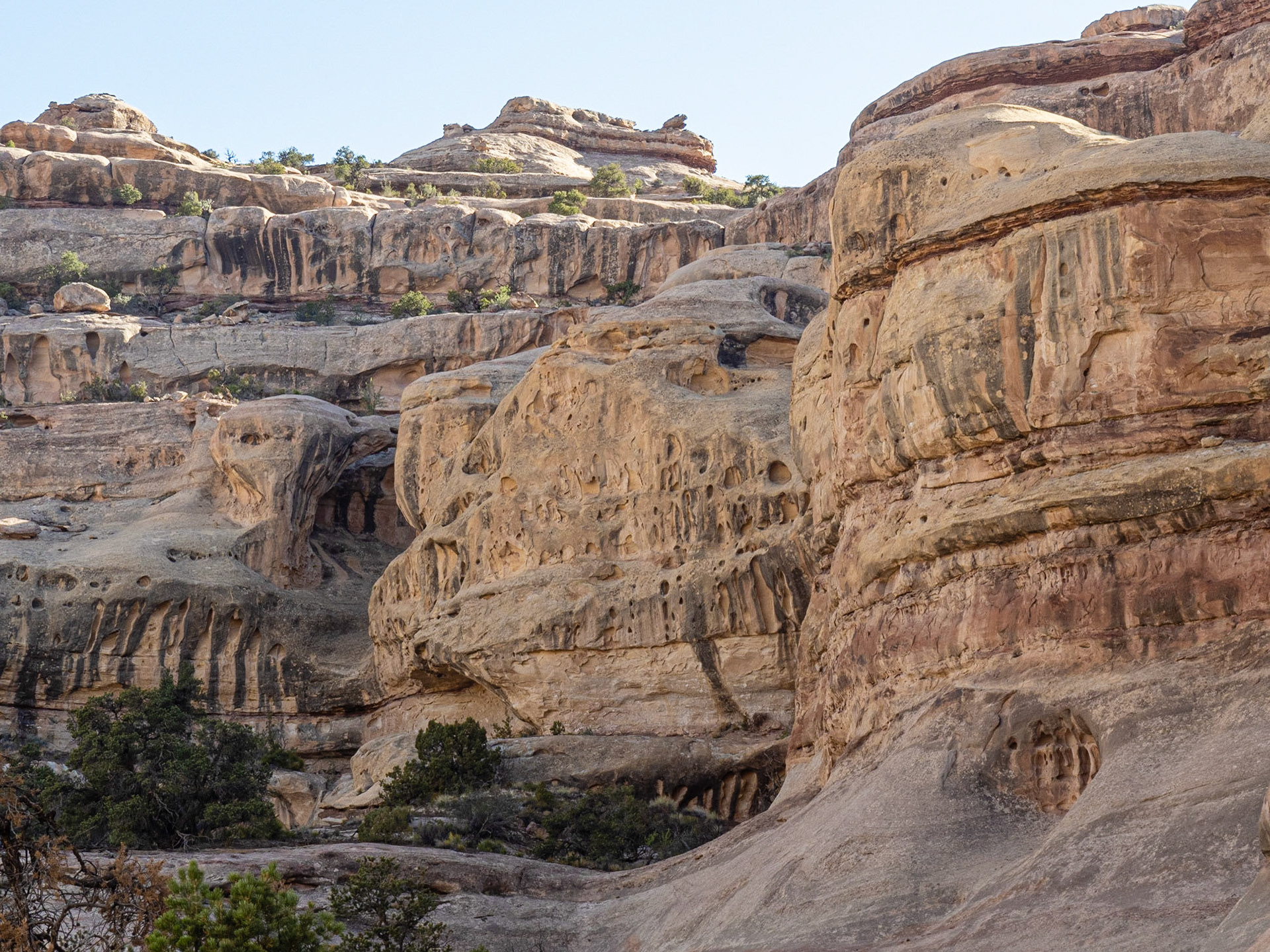 Muffin Arch (left center)