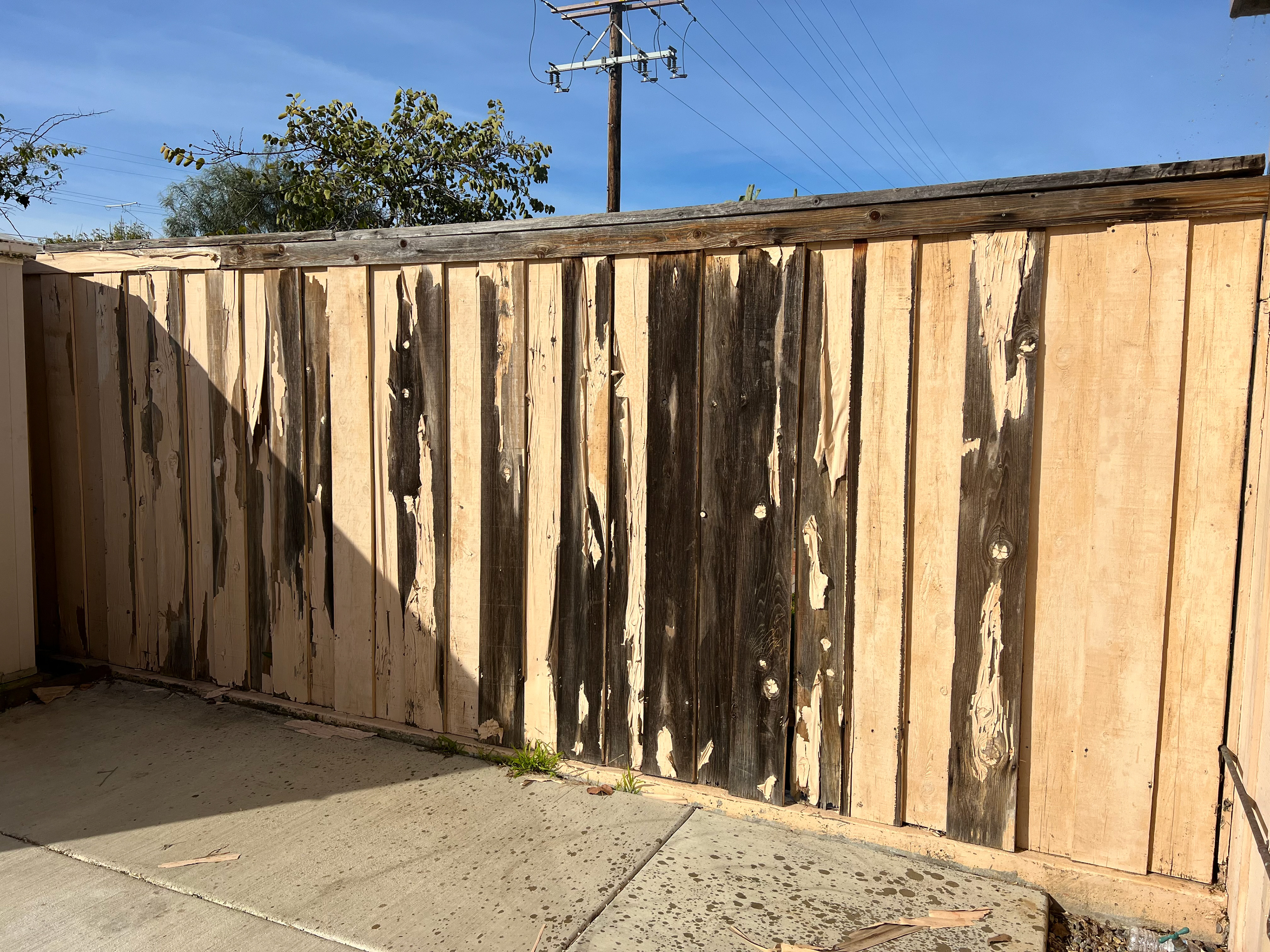 Fence Restoration Before