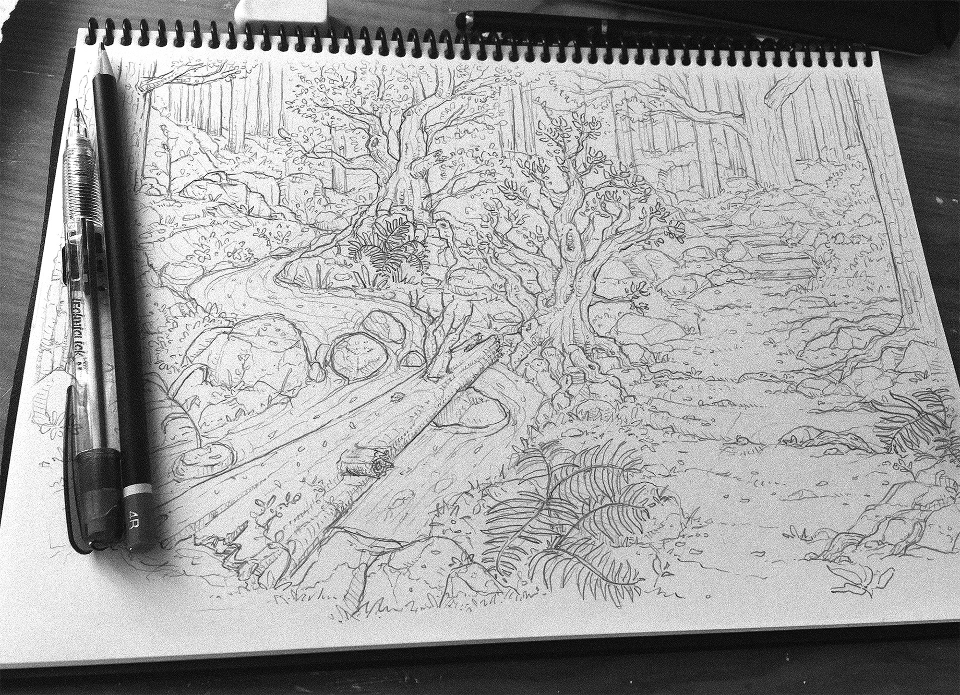 Pencil sketch of Newlands forest for Gentry Creative client gift packaging