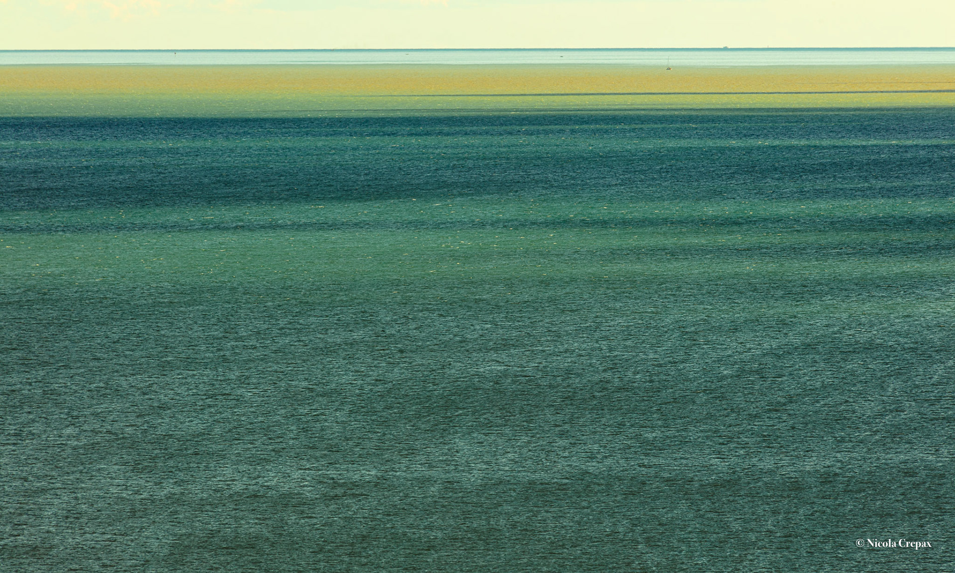 Nicola Crepax - Šostakovič Concerto per violoncello n. 2 Fotografia 150X90 cm