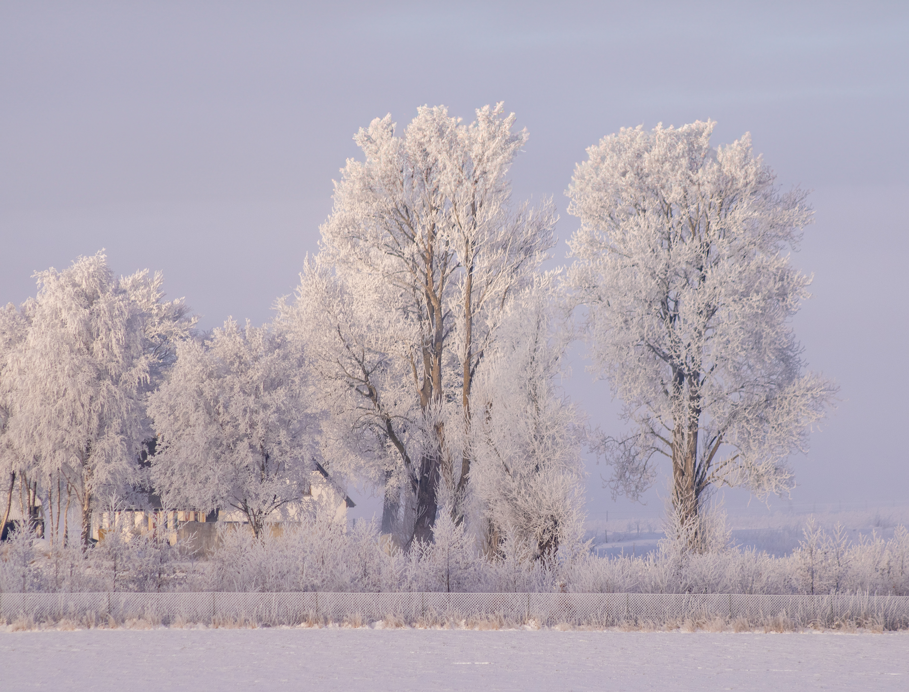 Vinter 2021. minus 20 grader celcius. Pludselig kom tågen.