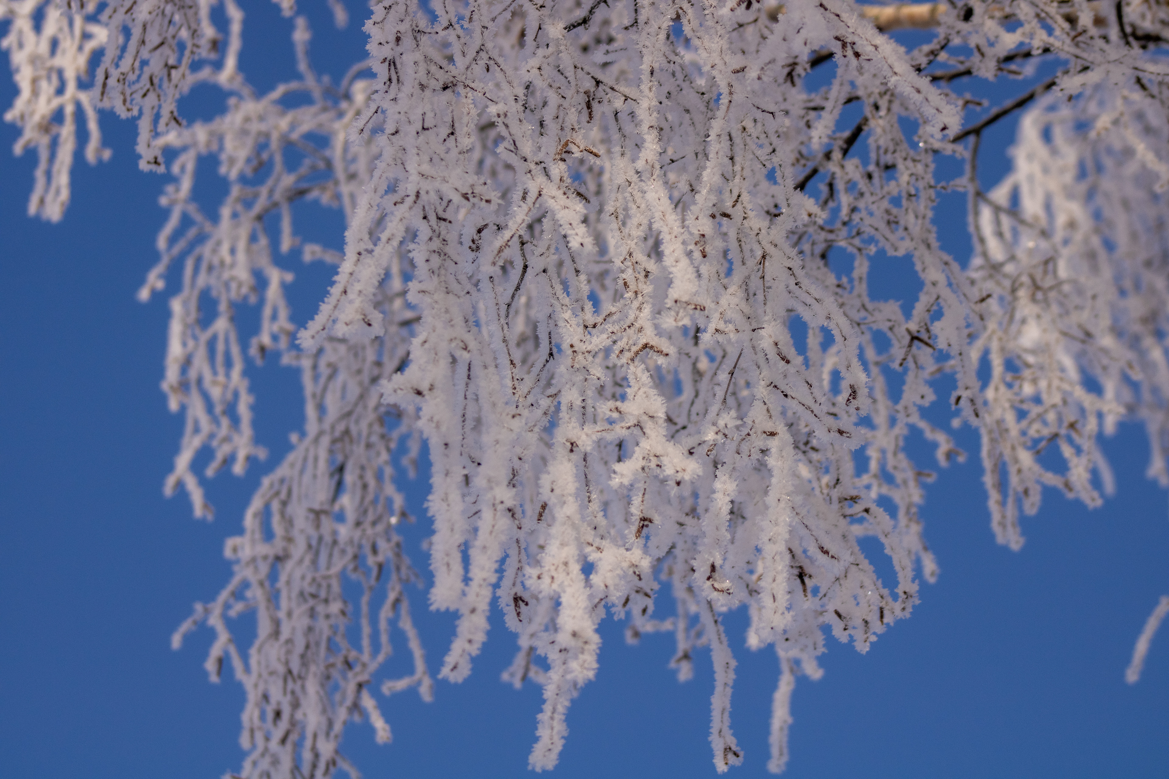 Vinter 2021. minus 20 grader celcius.