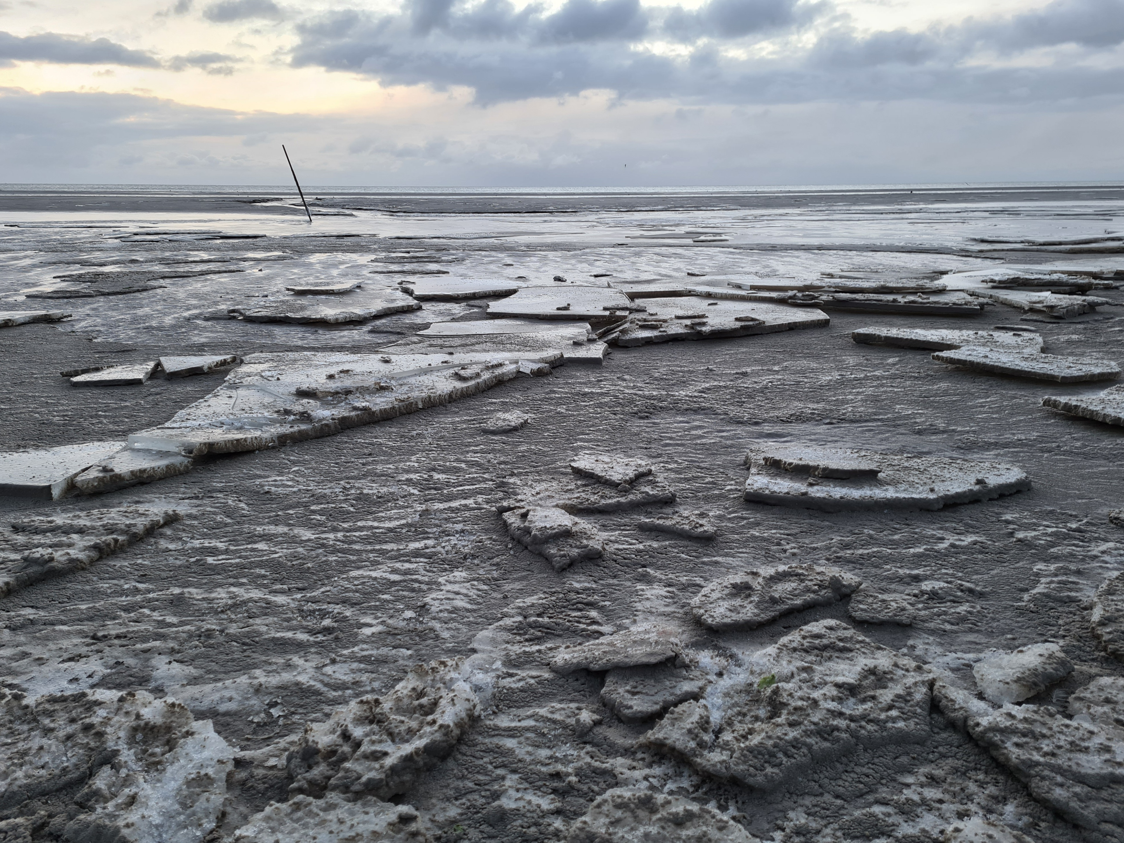 Fanø vinteren 2021 - Selv havet er frosset til is