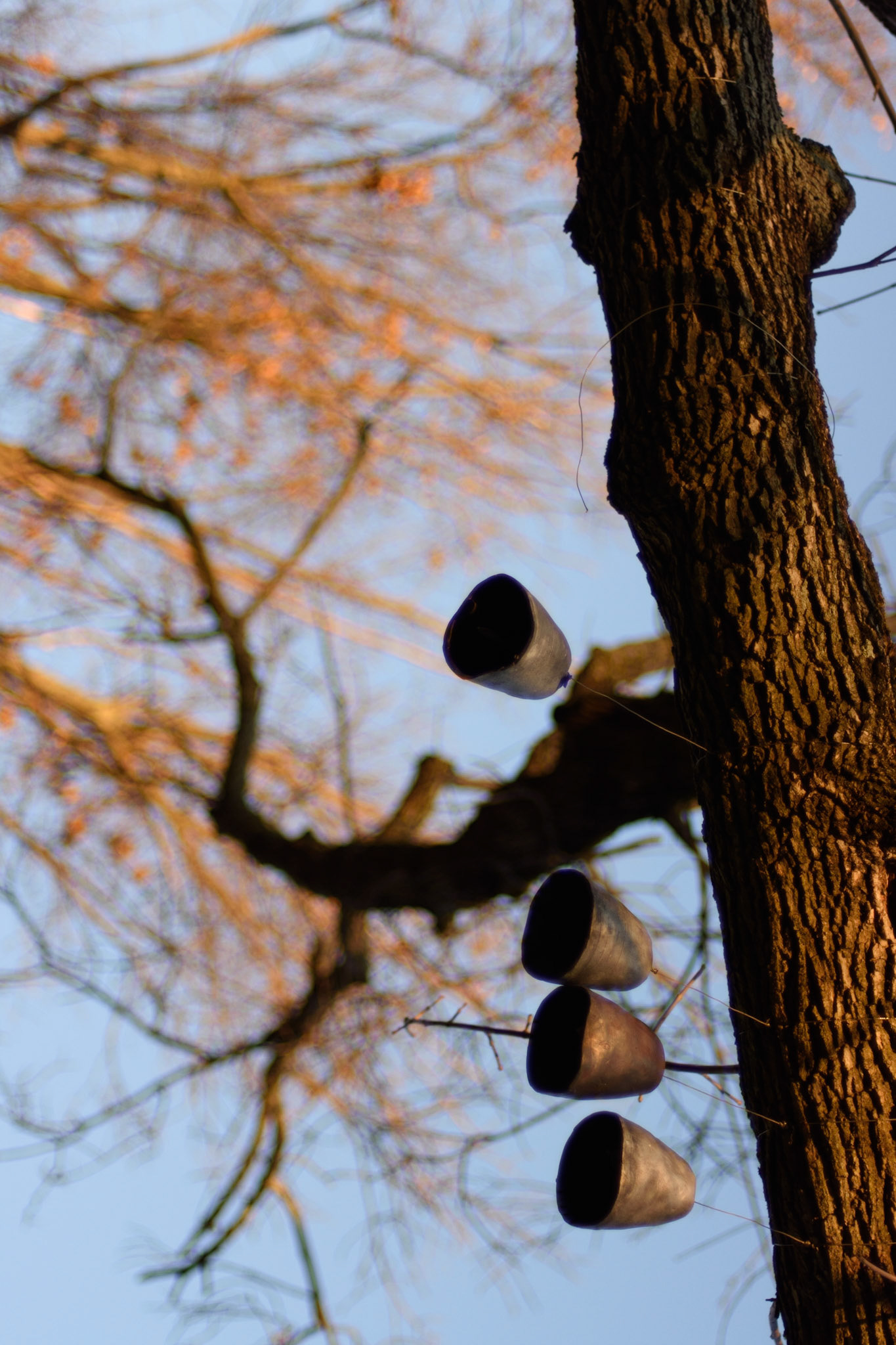 Photo by Philip Kyler (www.philipwith1l.com)