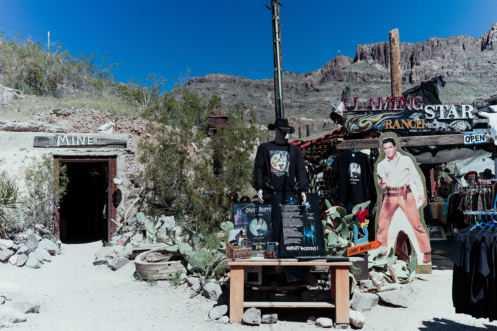 Oatman, Arizona, USA. 2019