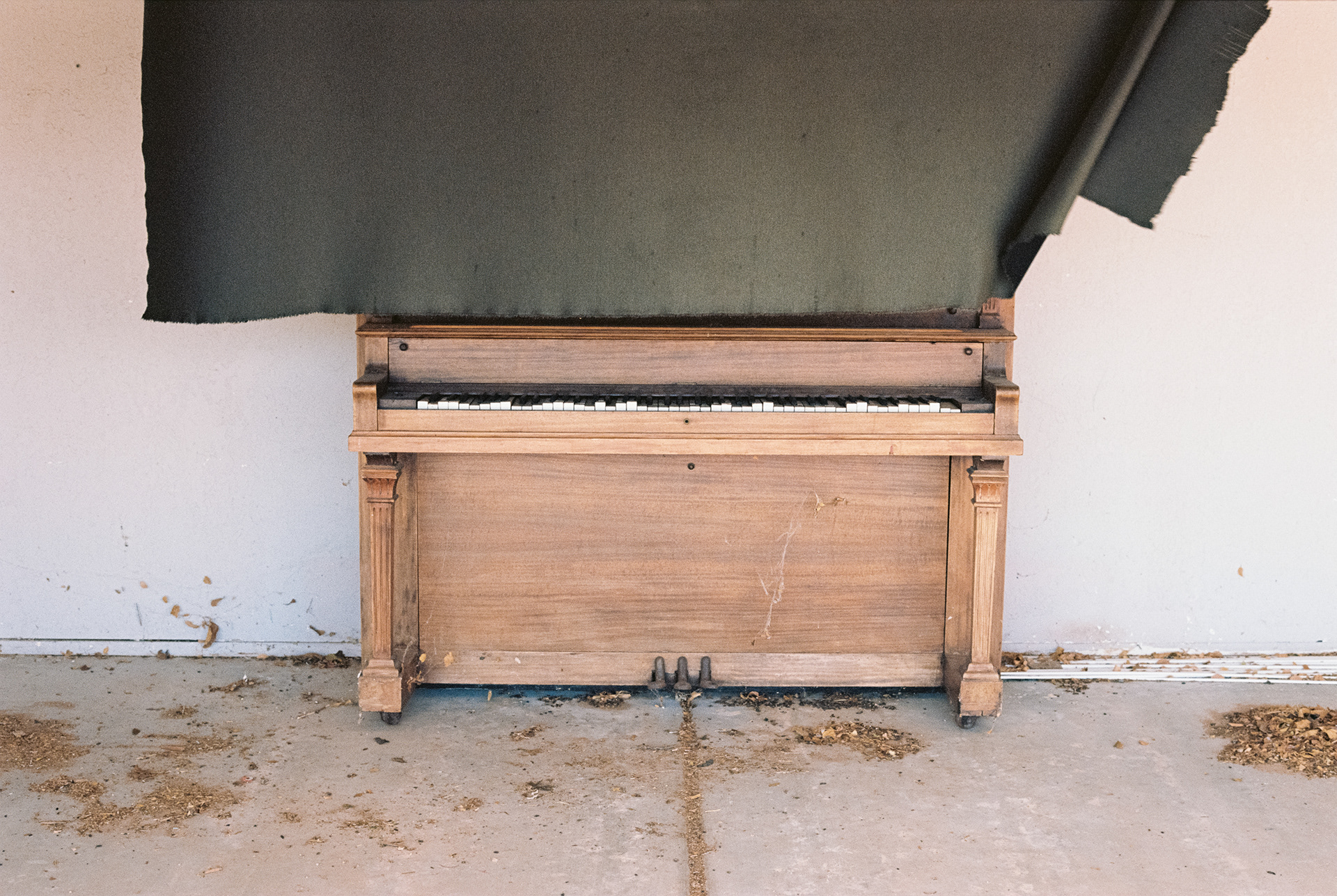 Arizona, USA. 2019