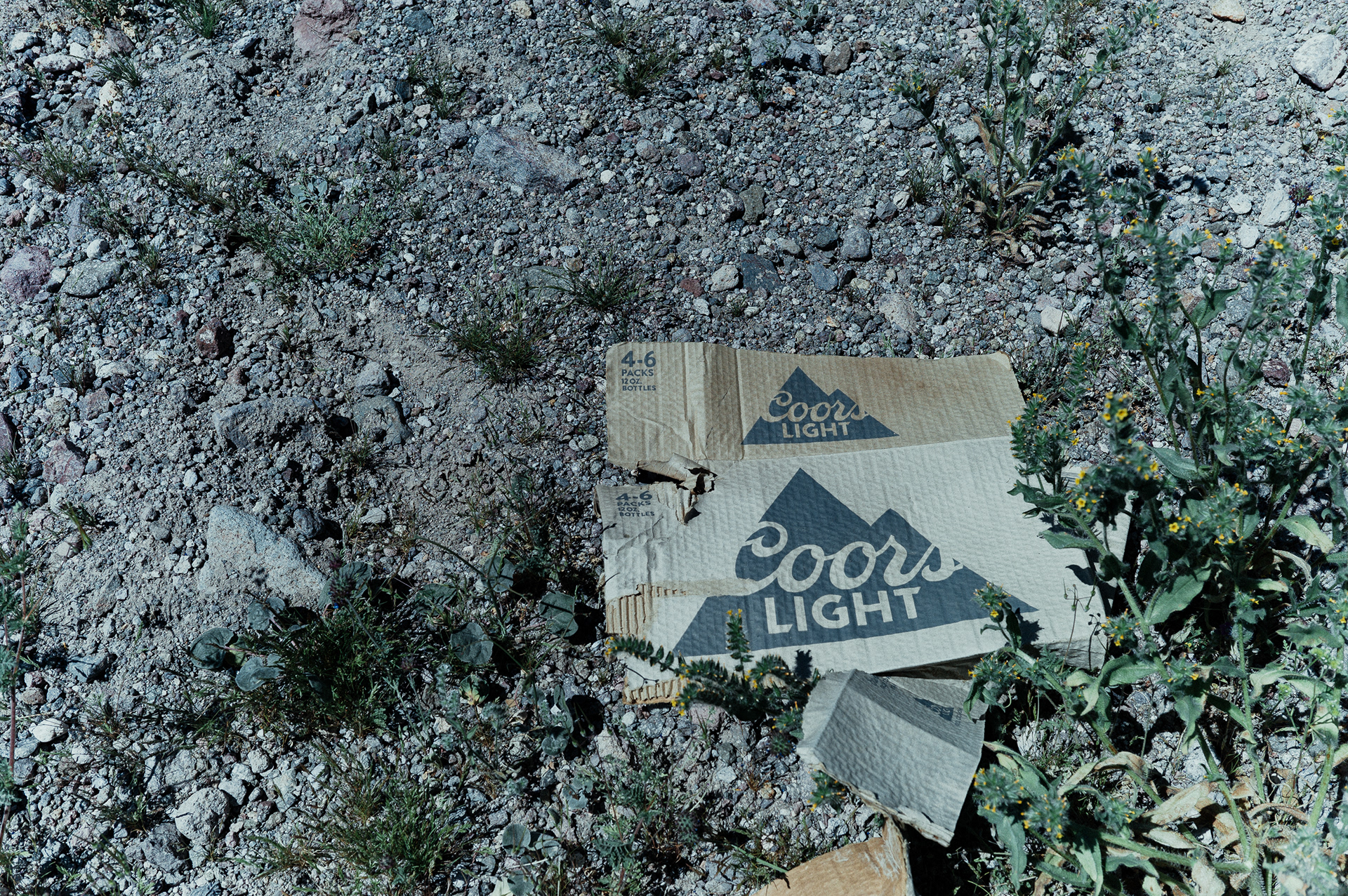 Arizona, USA. 2019