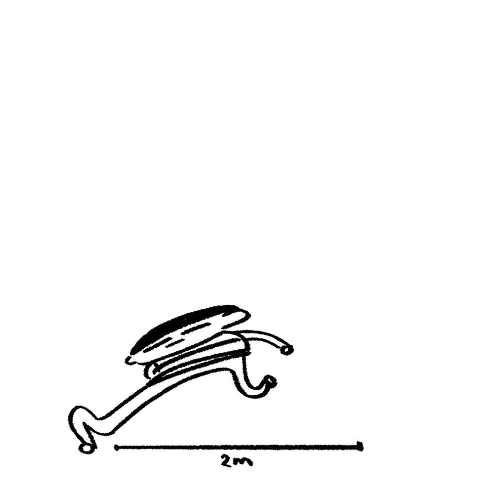 2M
