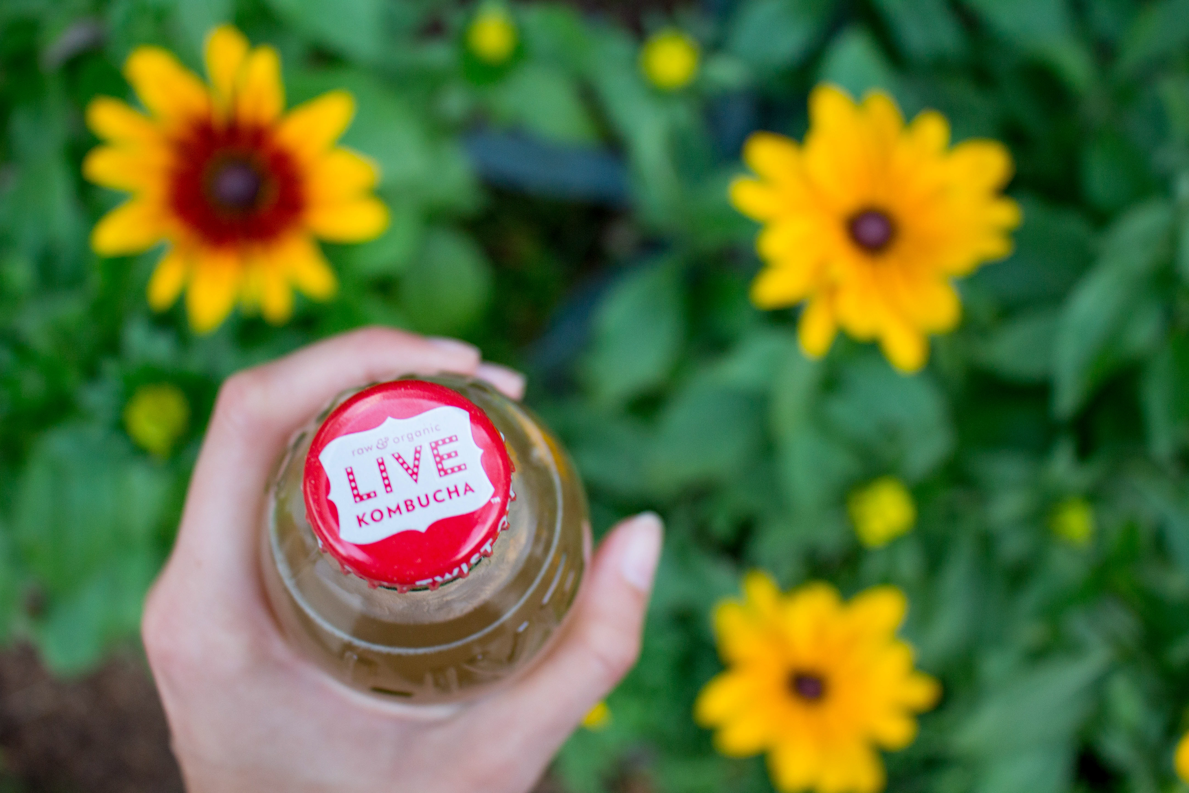 Link to Client Photography