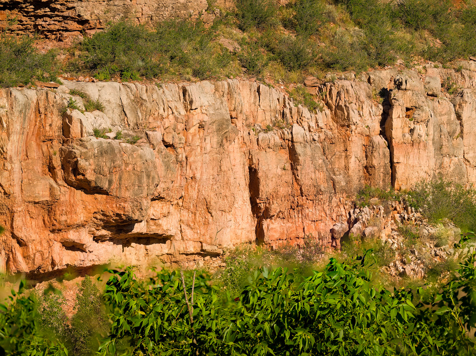 Red Mountain Natural Area