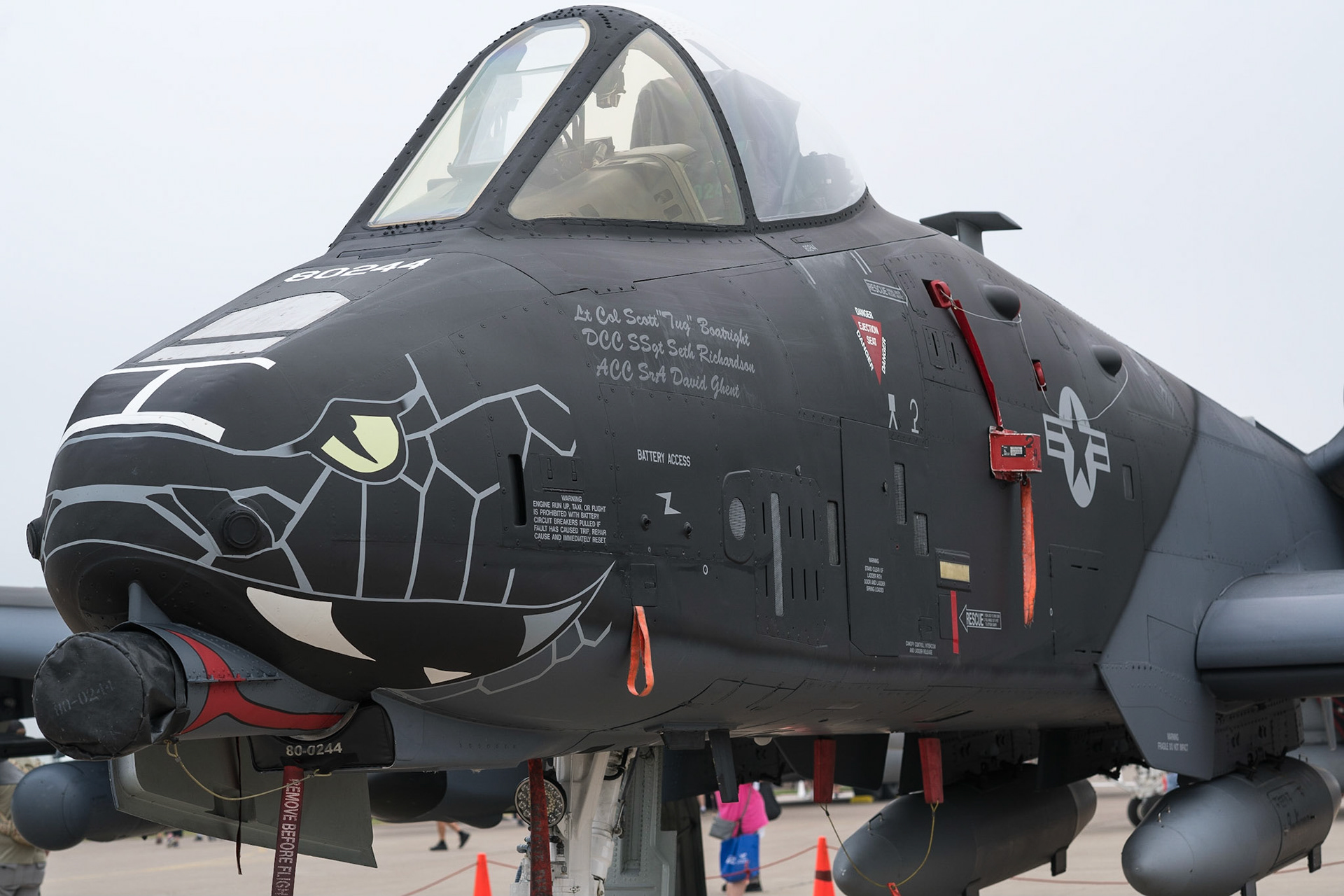 A-10 Warthog with a new rattlesnake paint sceme