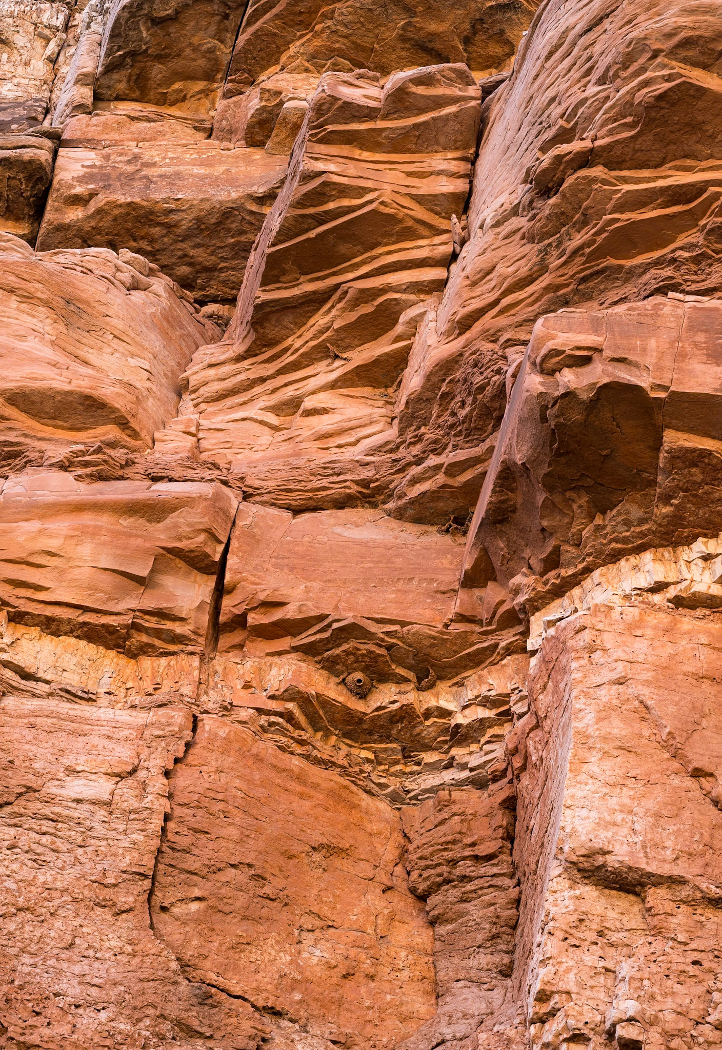 Red Mountain Natural Area