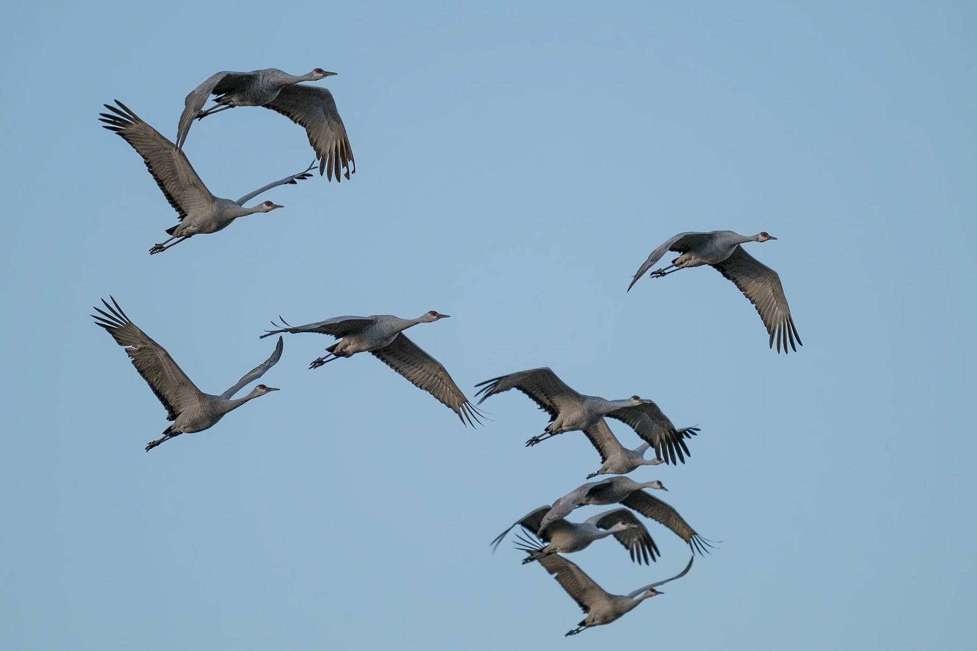 Bernado Waterfowl Management Area