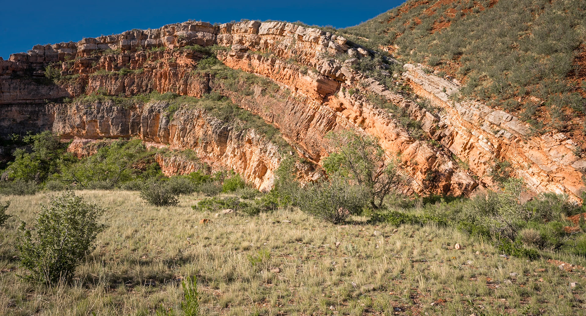 Red Mountain Natural Area