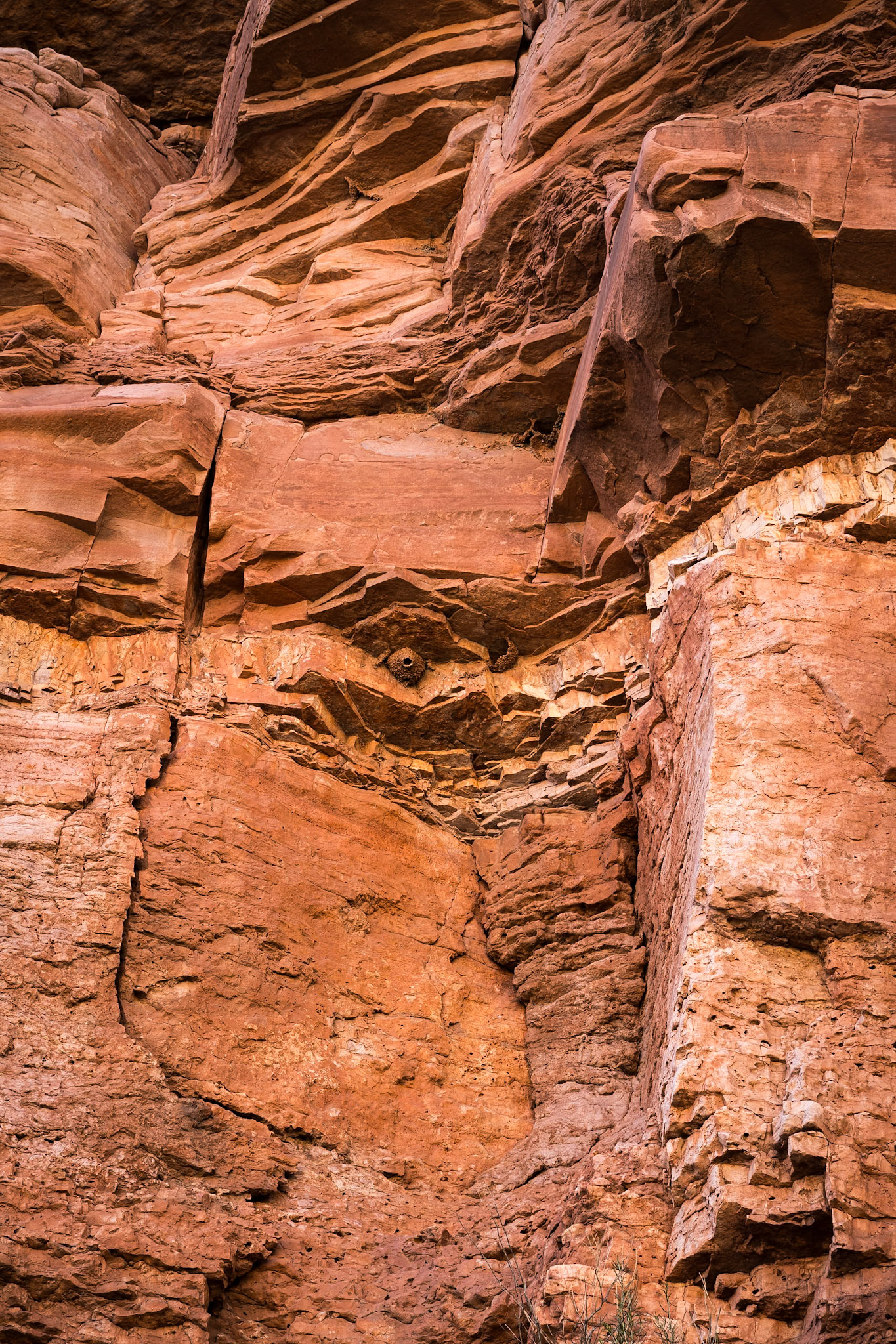 Red Mountain Natural Area