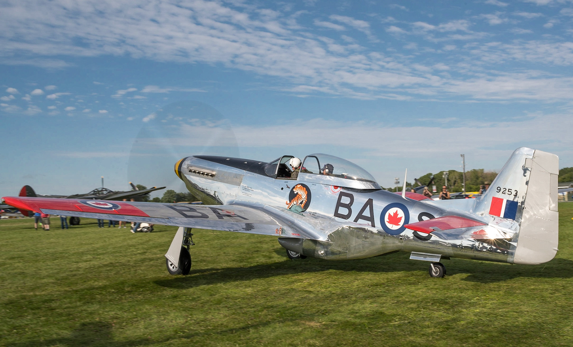 P-51 Mustang - Nothing like the sound of a Merlin in the morning