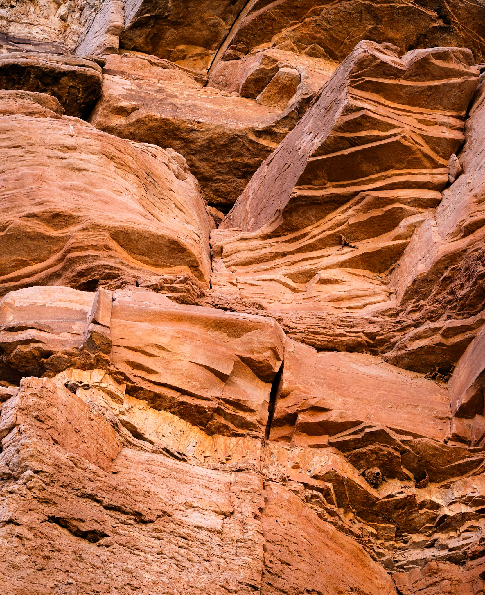 Red Mountain Natural Area