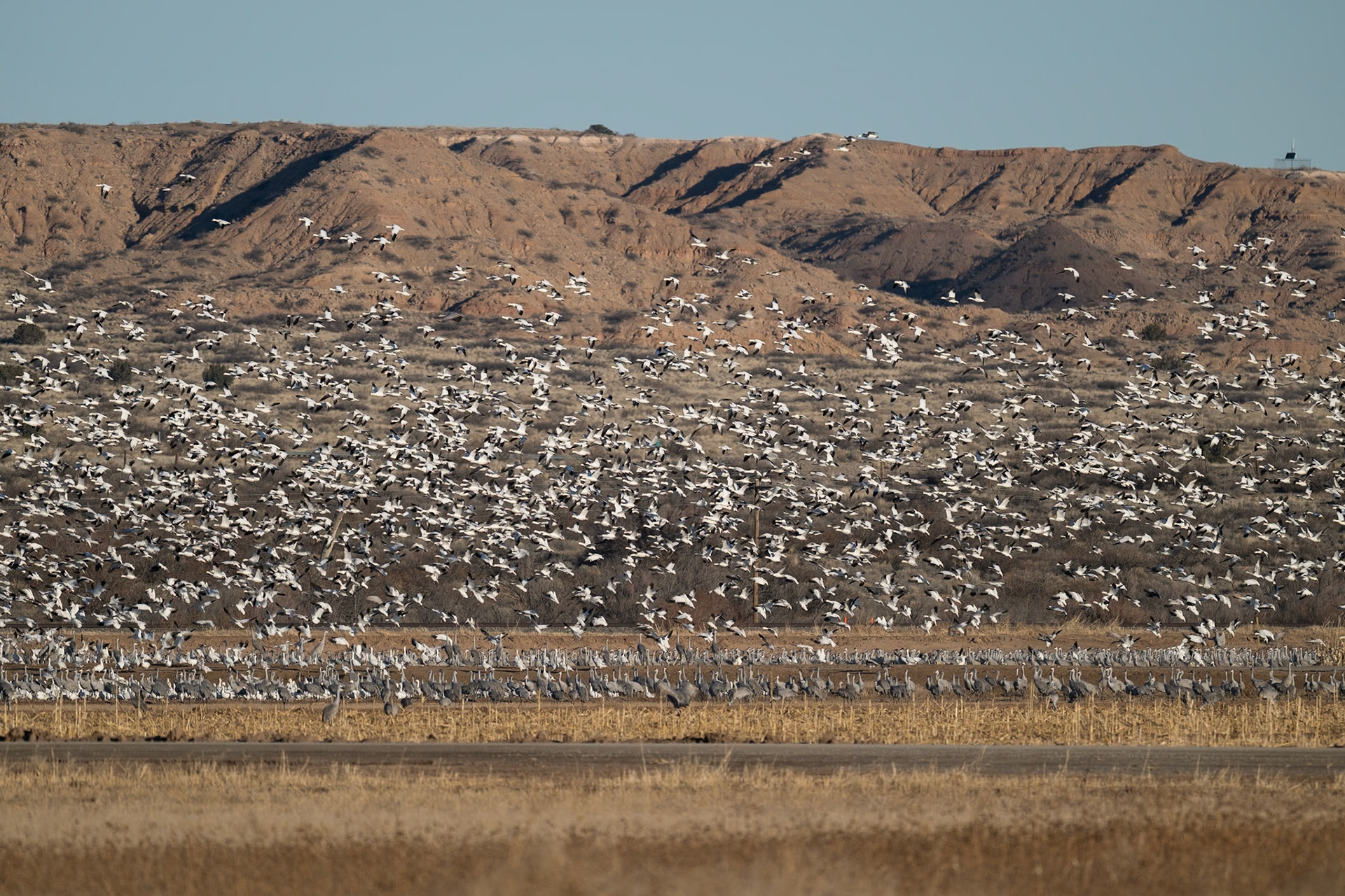 Bernado Waterfowl Management Area