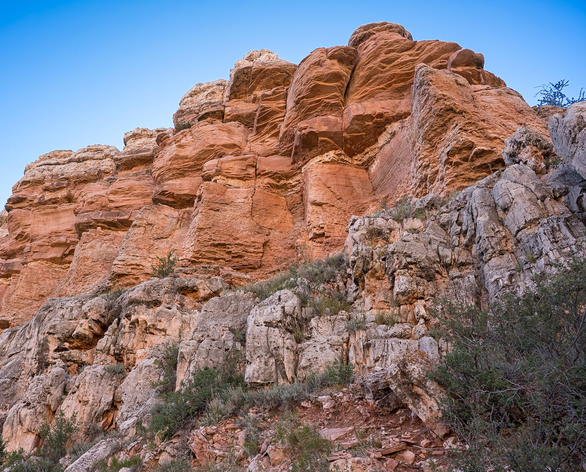 Red Mountain Natural Area