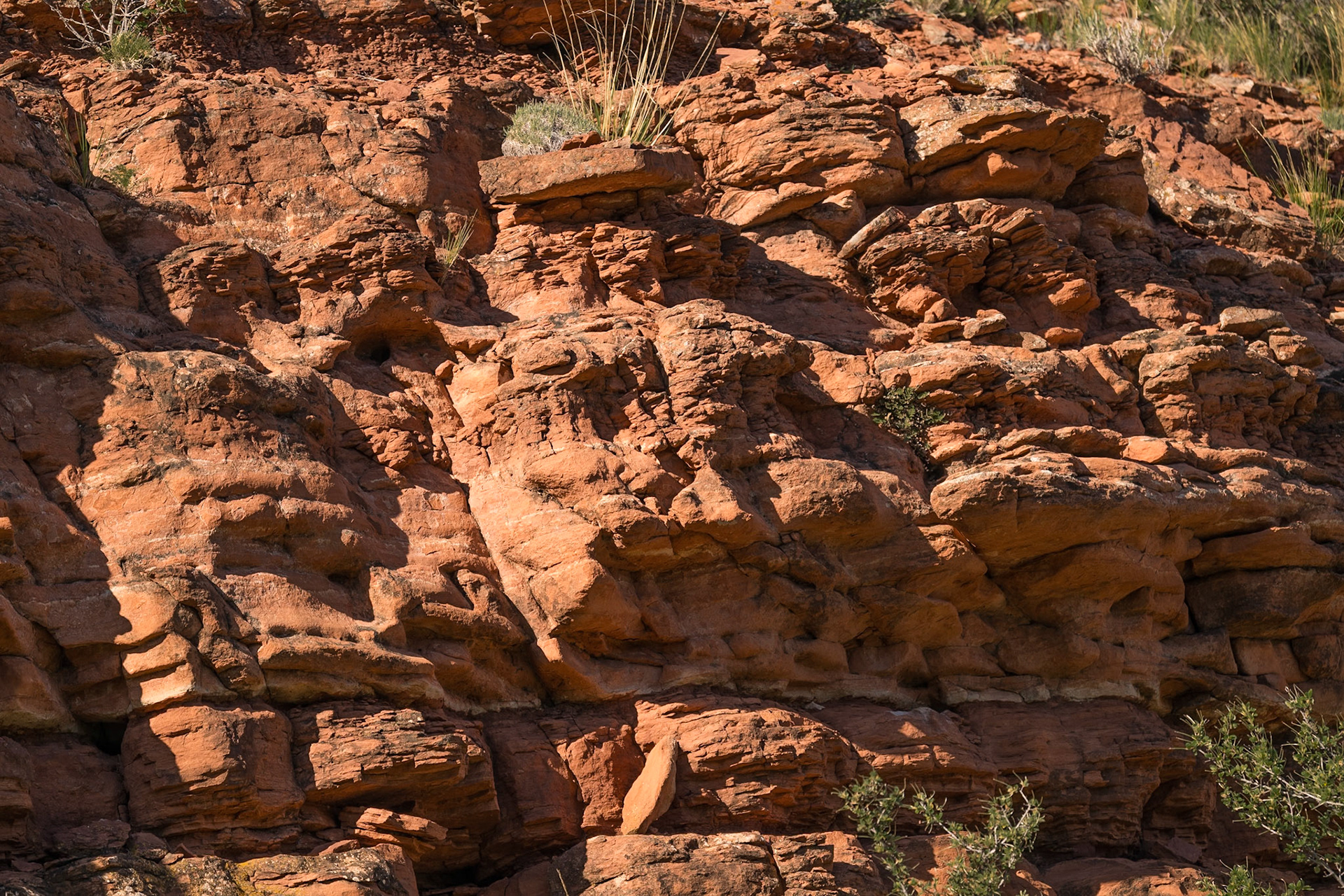 Red Mountain Natural Area