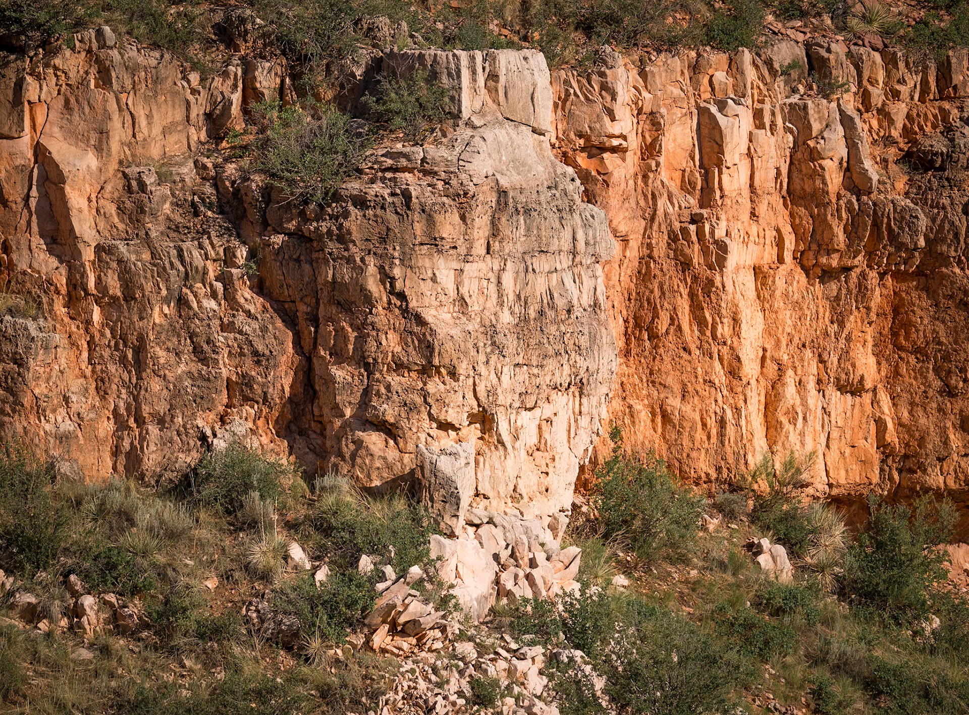 Red Mountain Natural Area