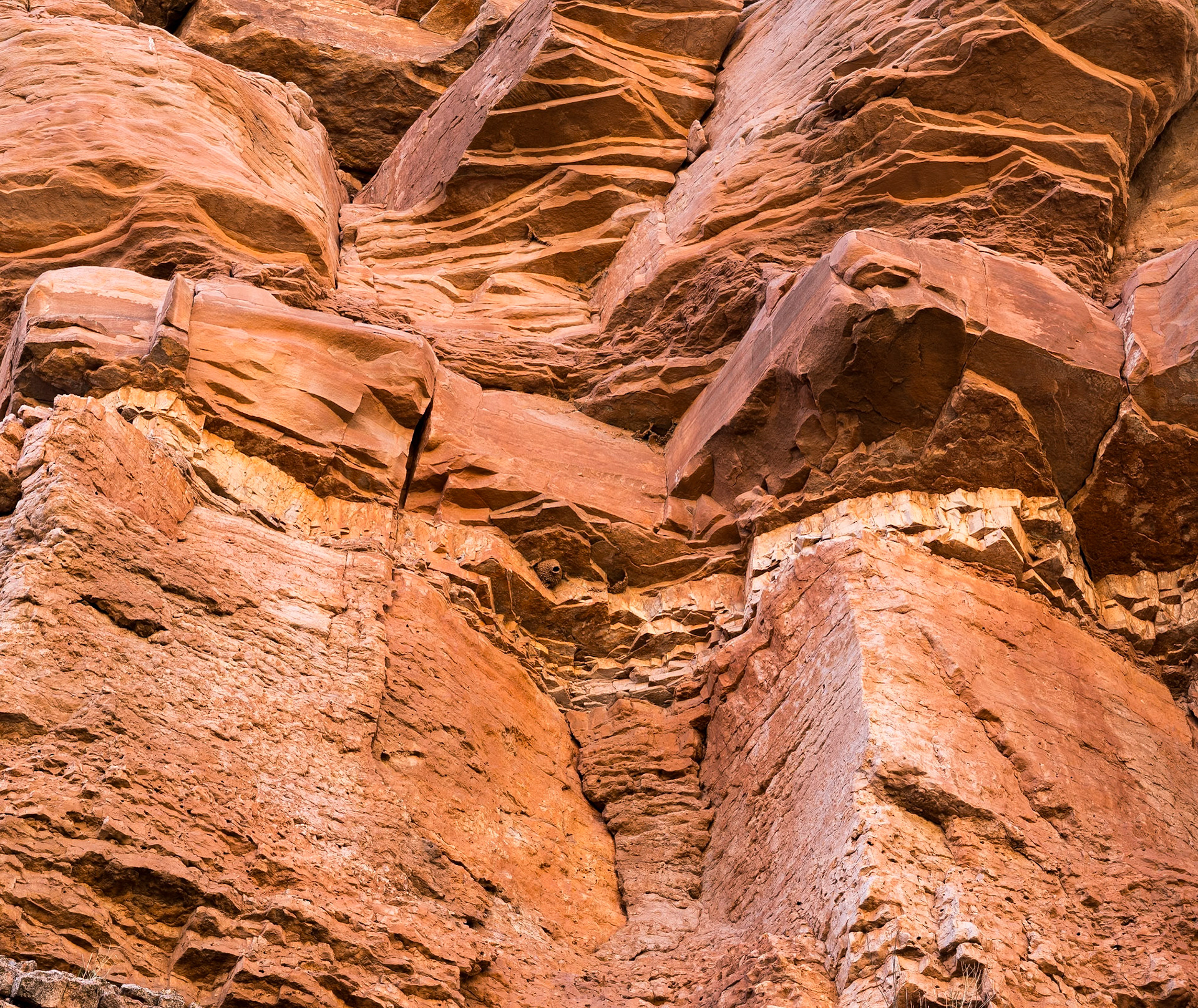 Red Mountain Natural Area