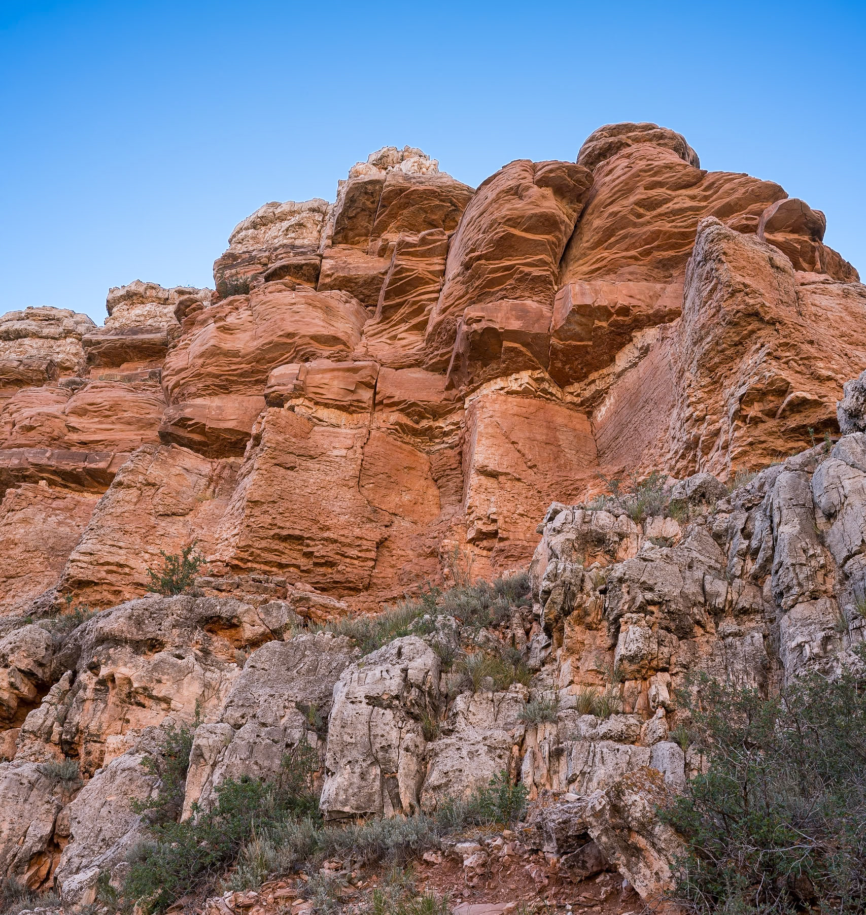 Red Mountain Natural Area