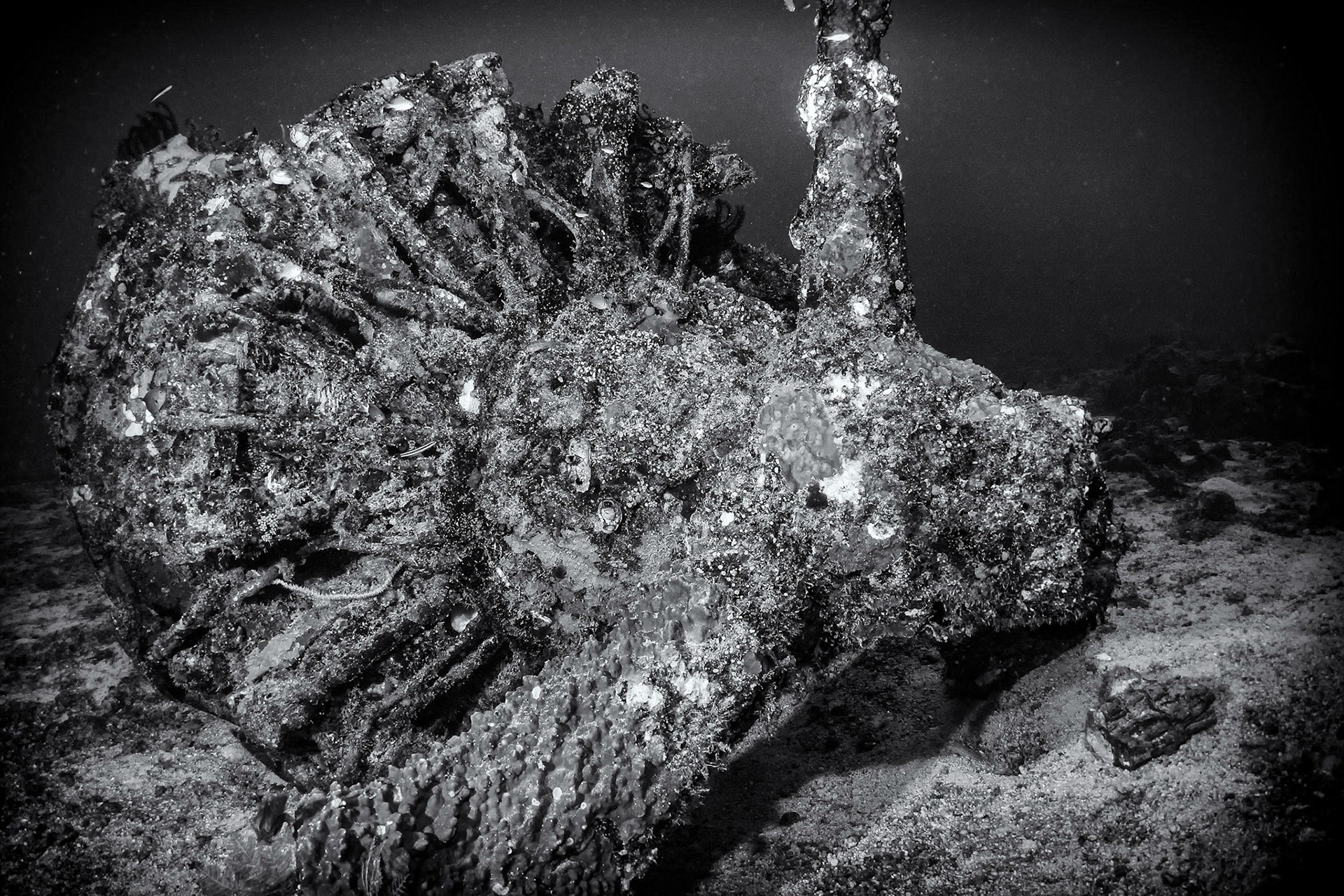 Whilst attempting takeoff with two other RAAF Catalina flying boats, A24-11 hit a rogue wave near the mouth of Kavieng harbour. This split the hull, broke the wings off and killed all 9 onboard.