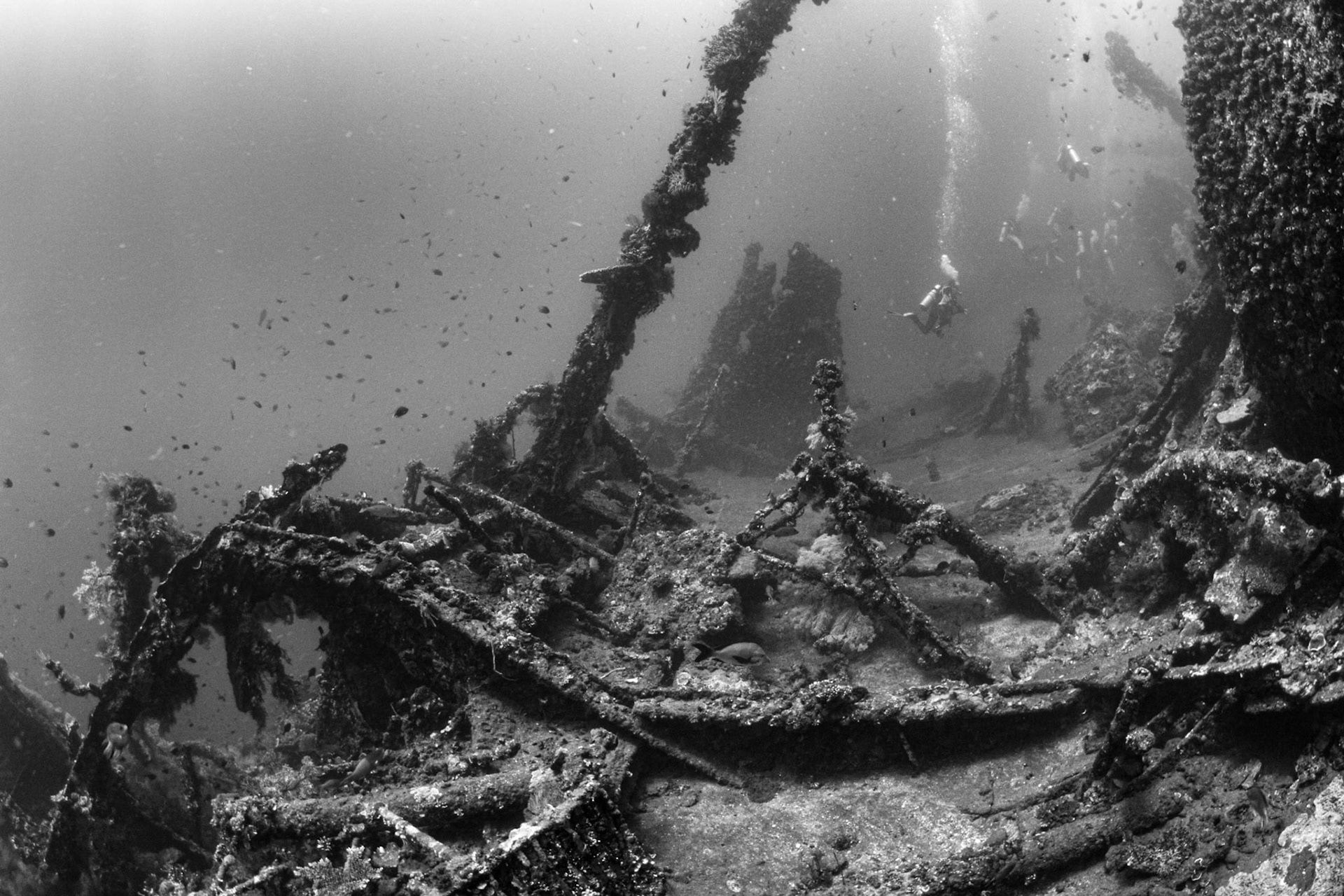 Tumbalen, Bali - 2013