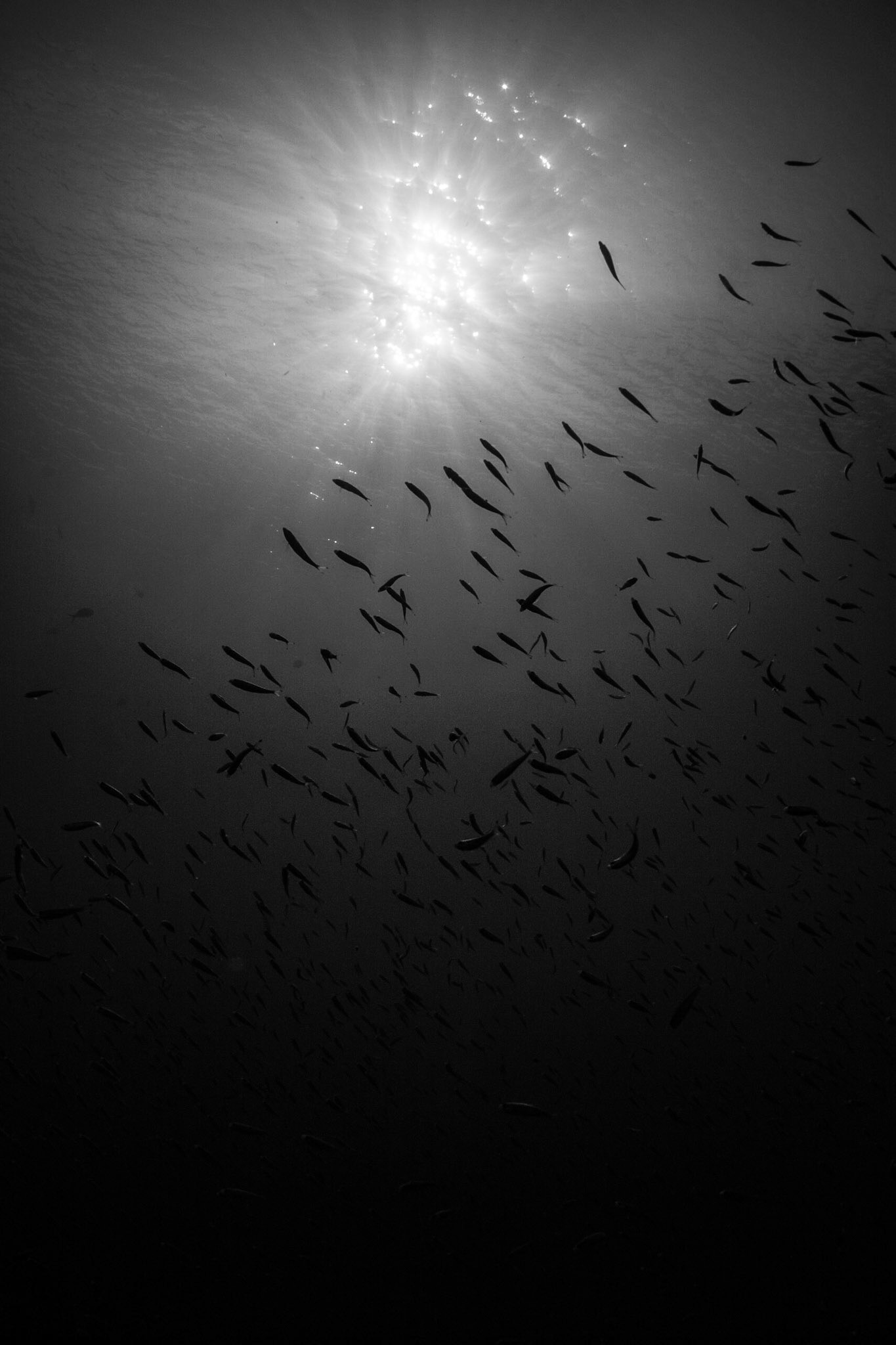 Hin Pae, Surin Islands-Thailand 2012