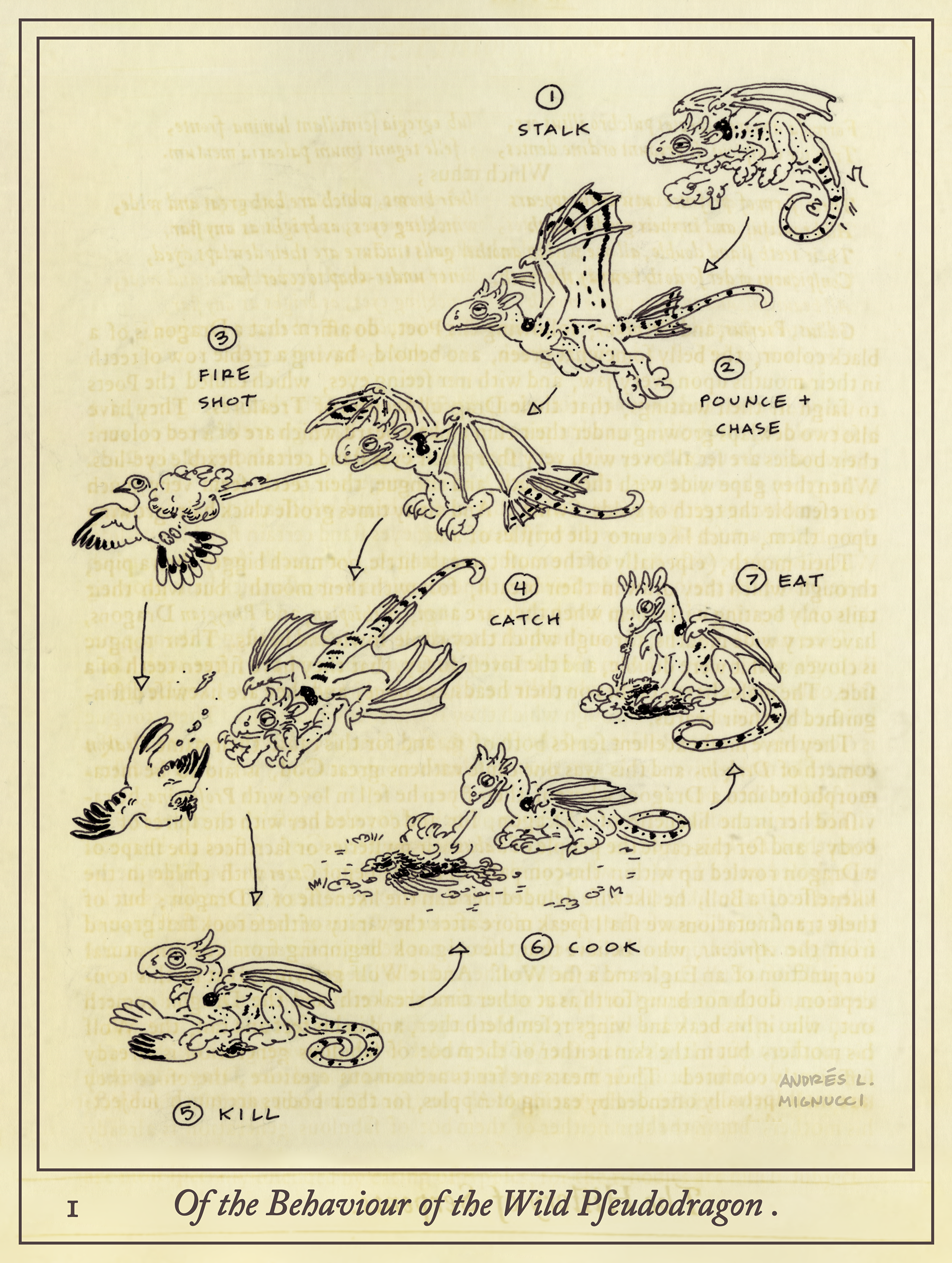 How the Wild Pseudodragon hunts.