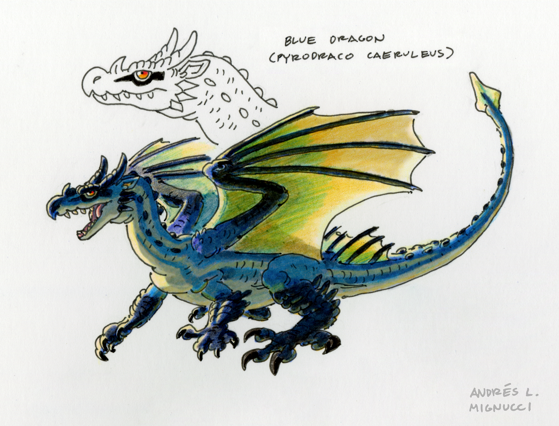 Blue Dragon