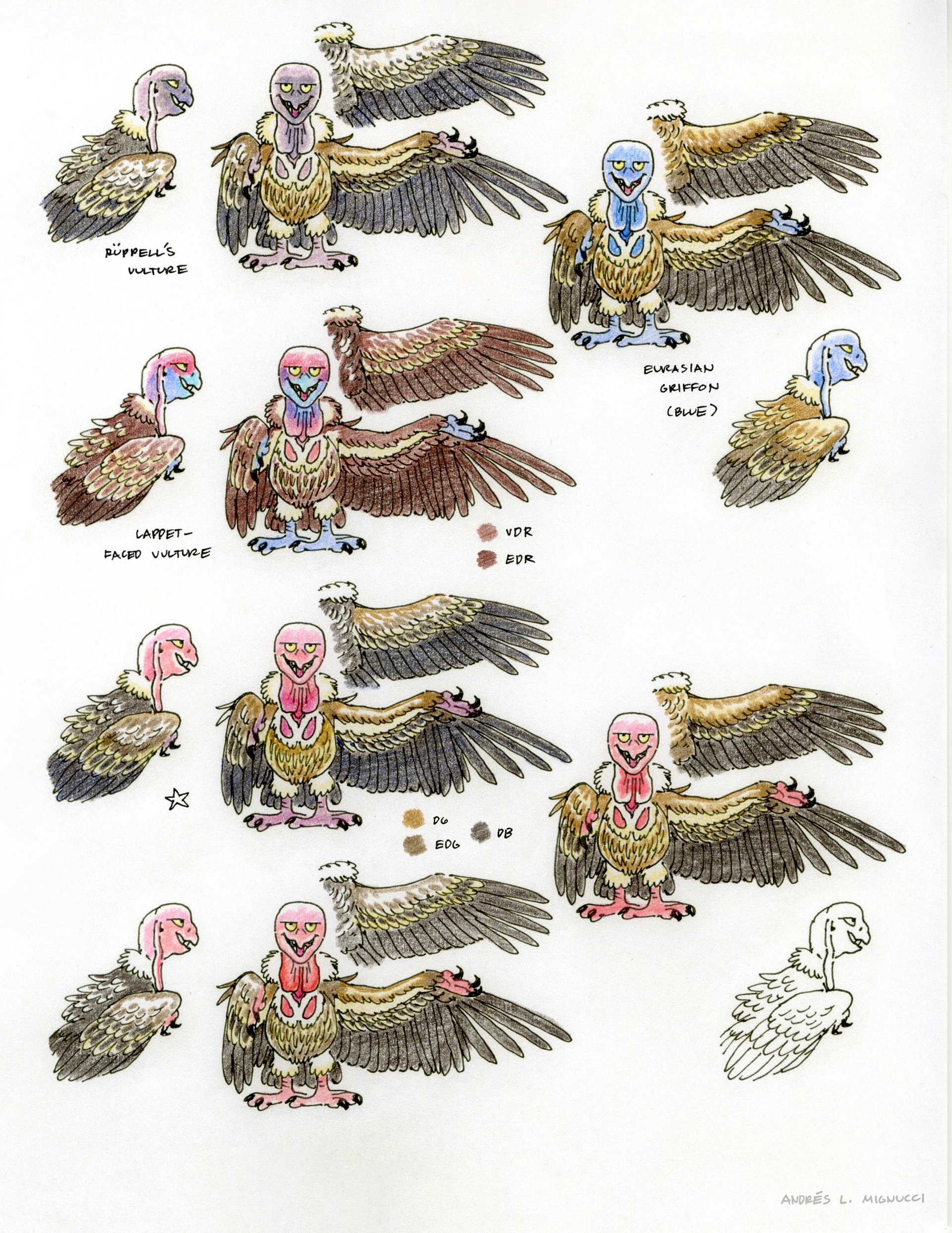 Harpy Color Variations