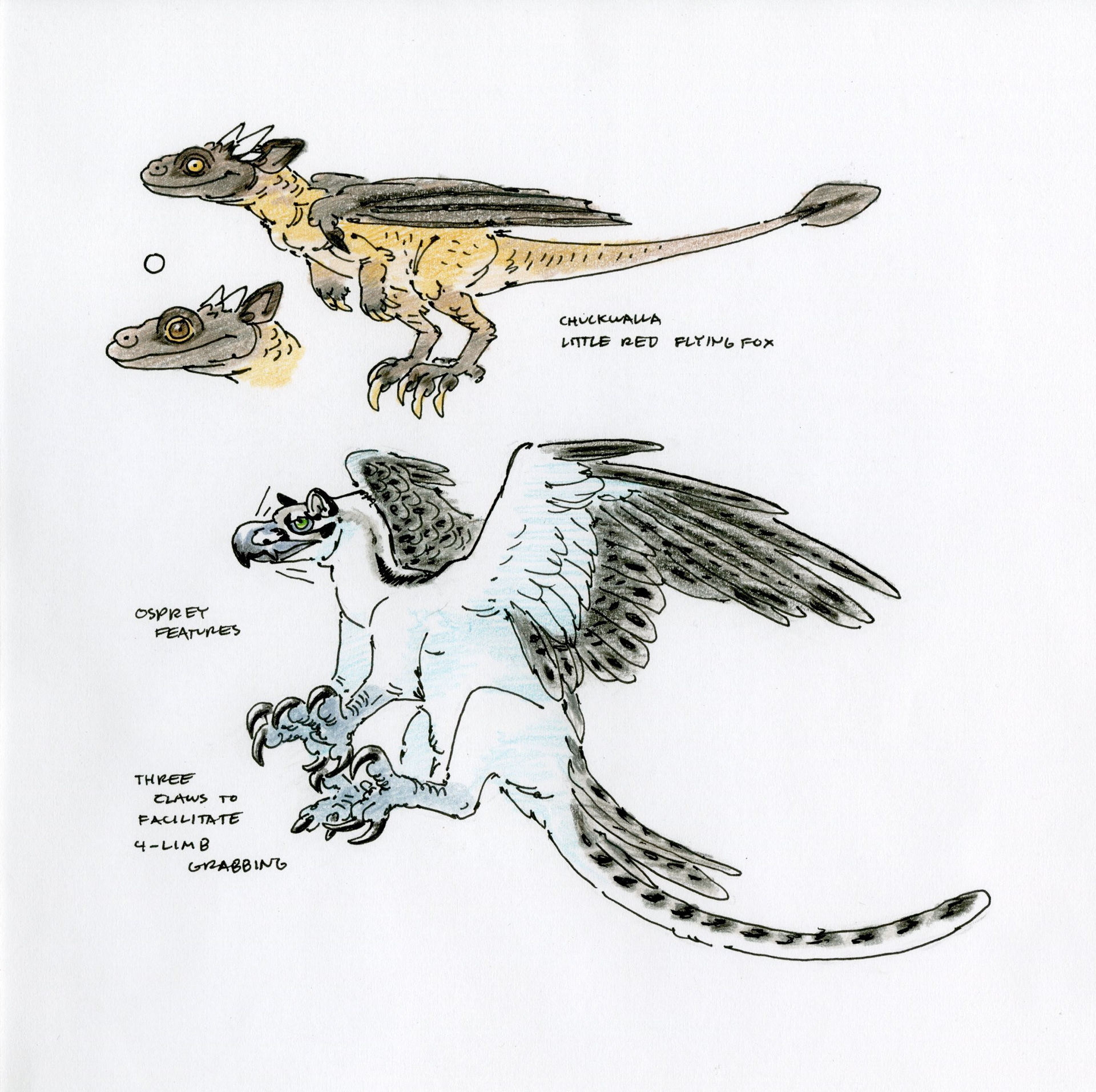 Griffin and Dragon Sketches