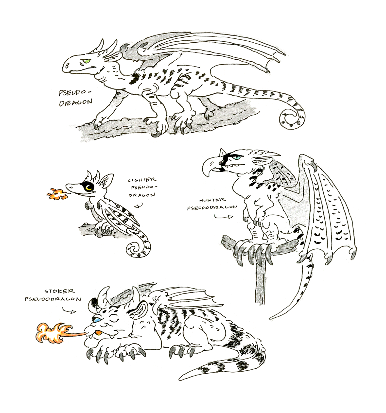 Pseudodragon Breeds