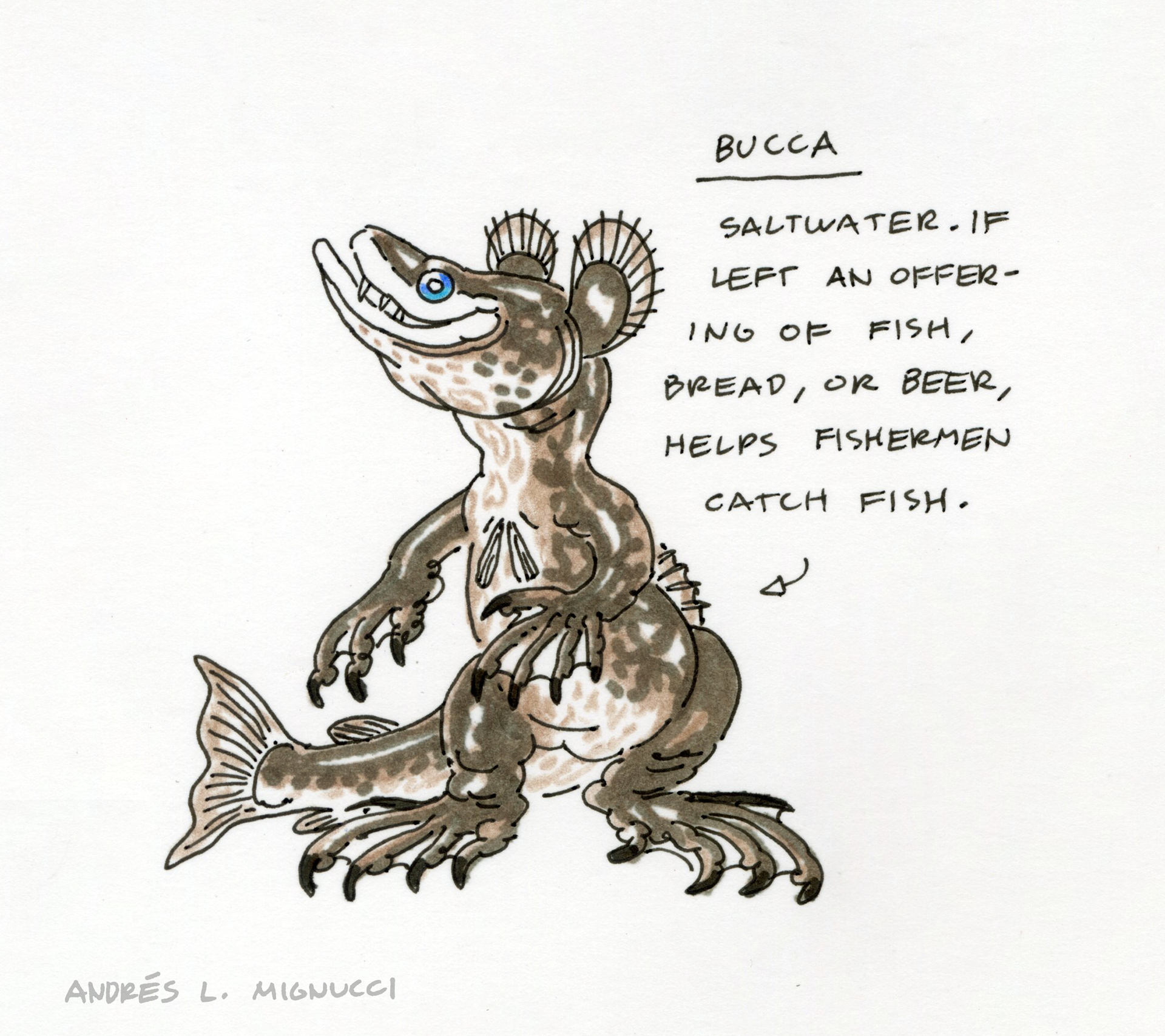 Bucca