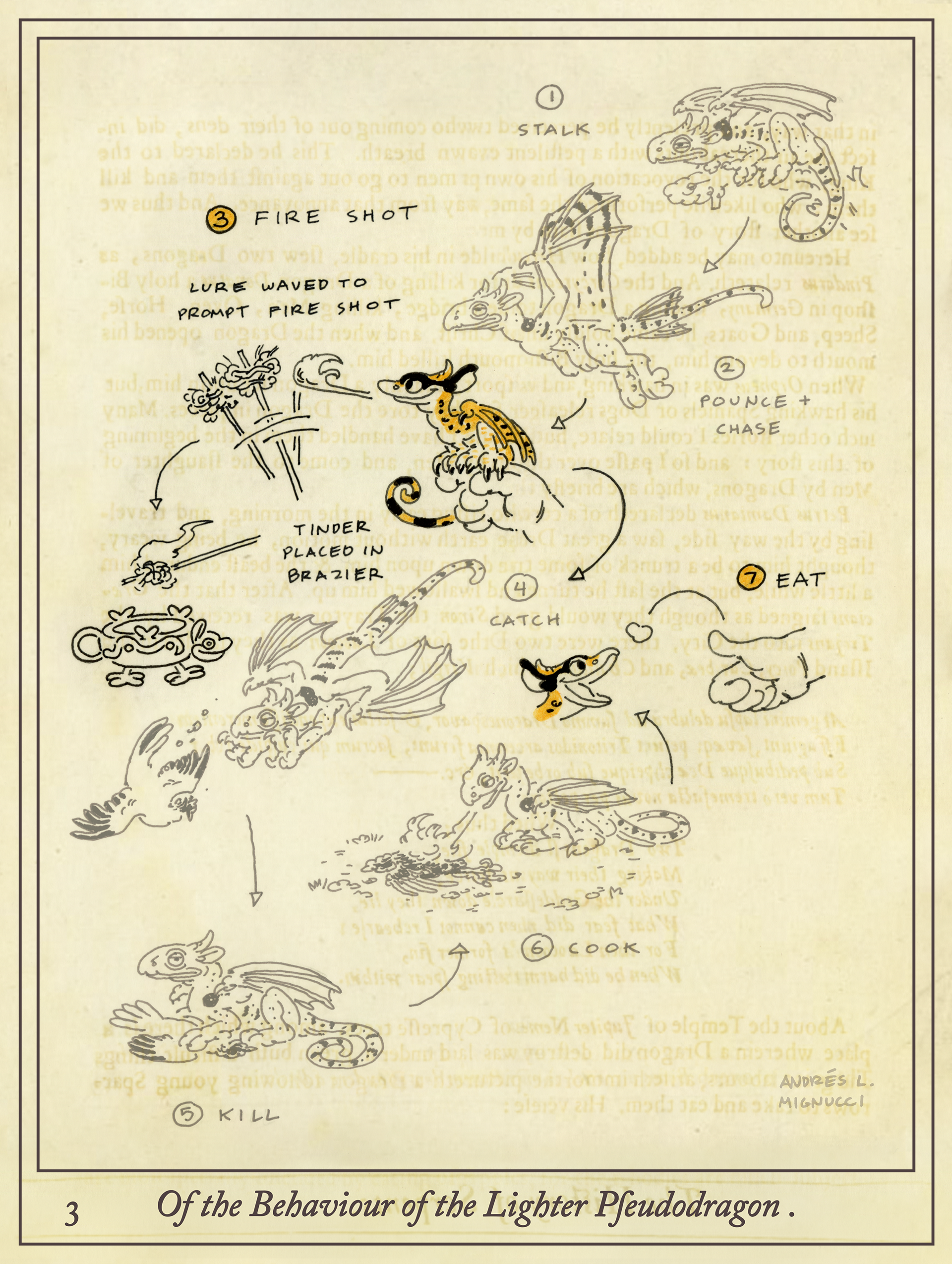 How the Lighter Pseudodragon is used to light candles.