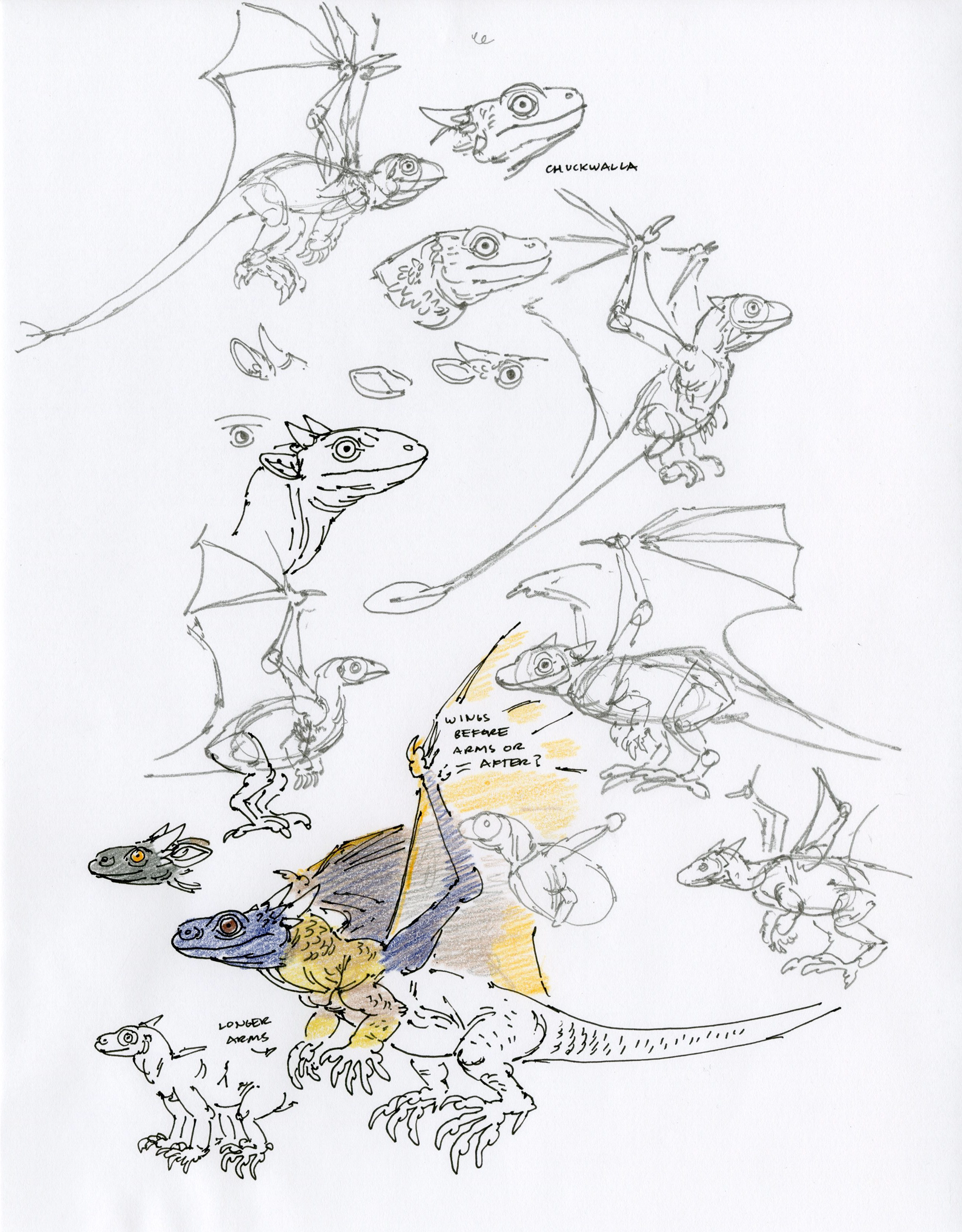 Dragon Sketches