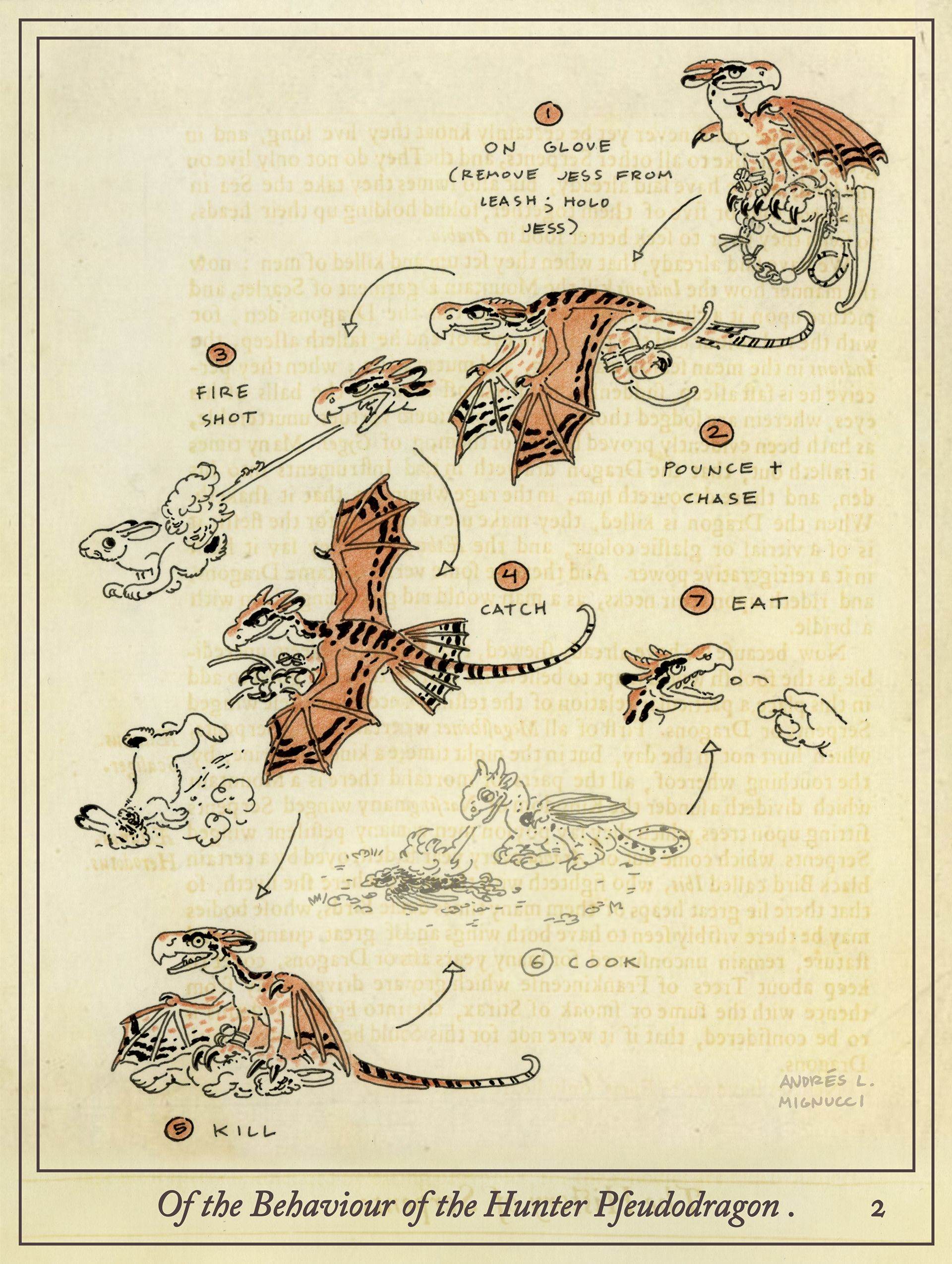 How the Hunter Pseudodragon is used to hunt.