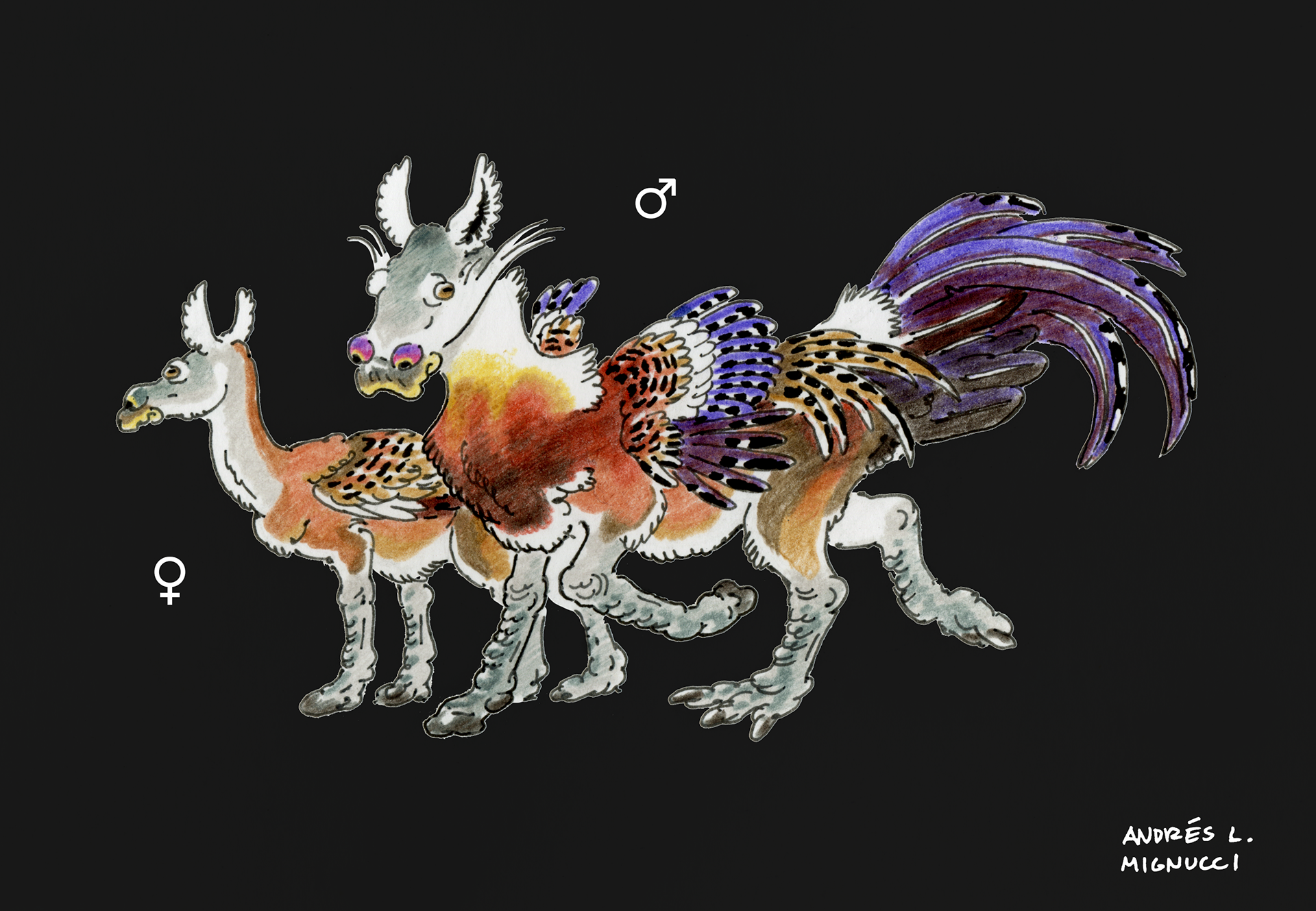 Hippalectryon