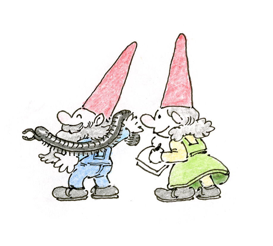Gnomes
