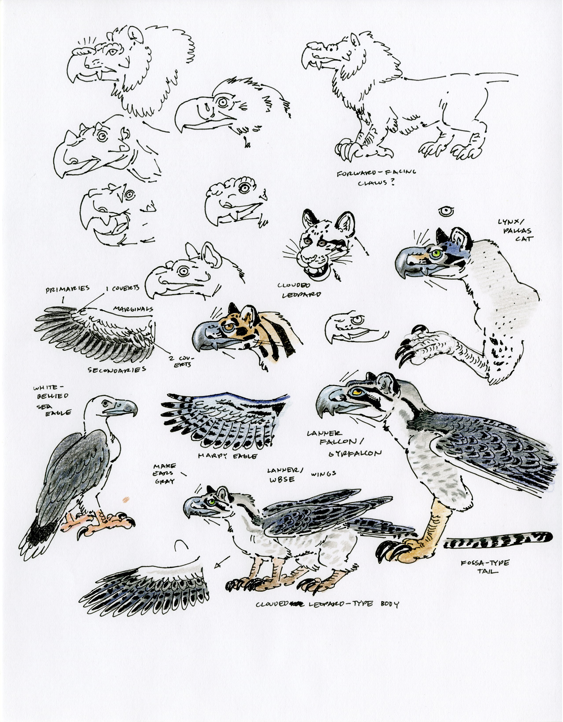 Griffin Sketches