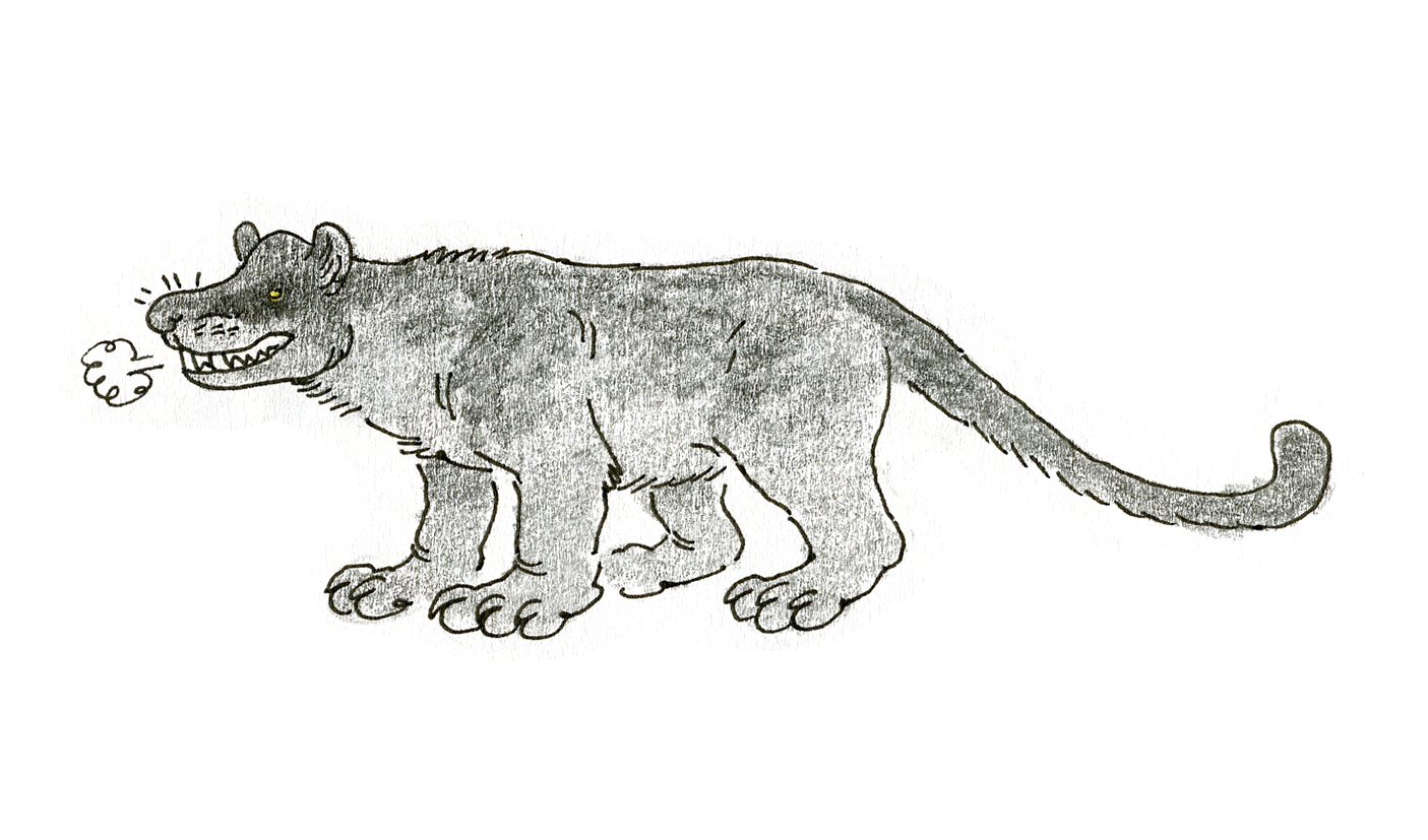 Black Bear-Dog