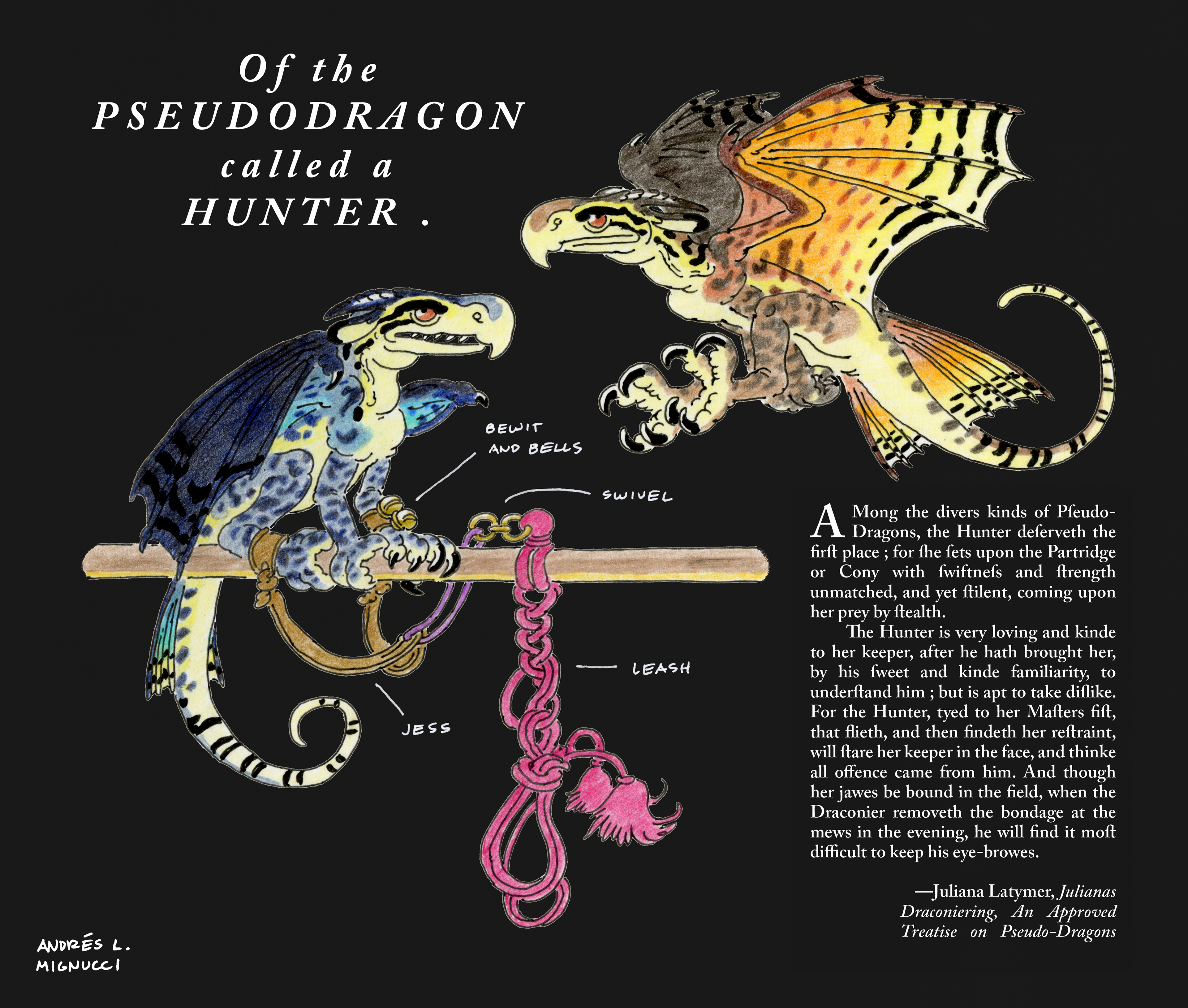 Hunter Pseudodragon