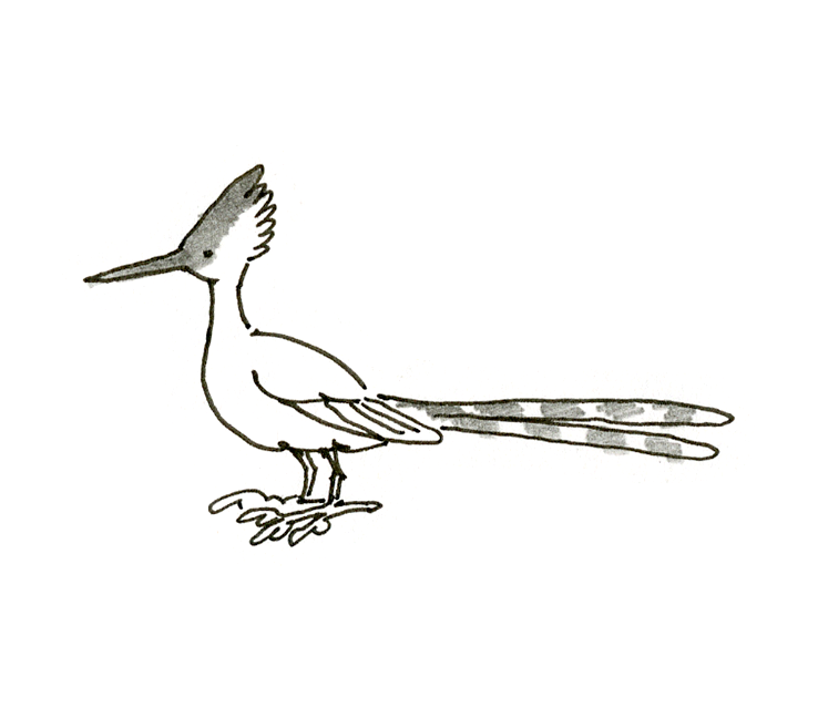 Caladrius