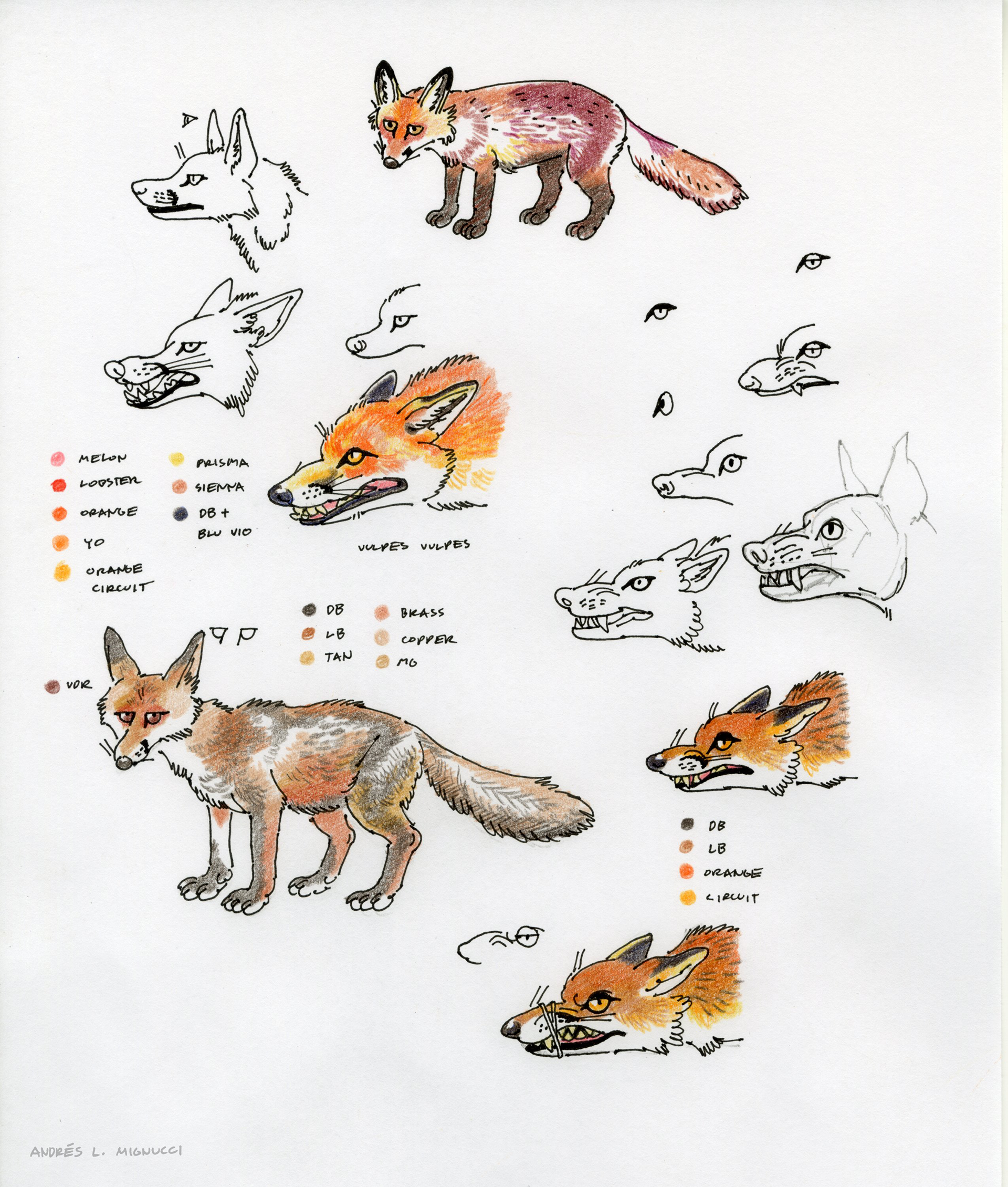 Five Senses: Taste - Sketches